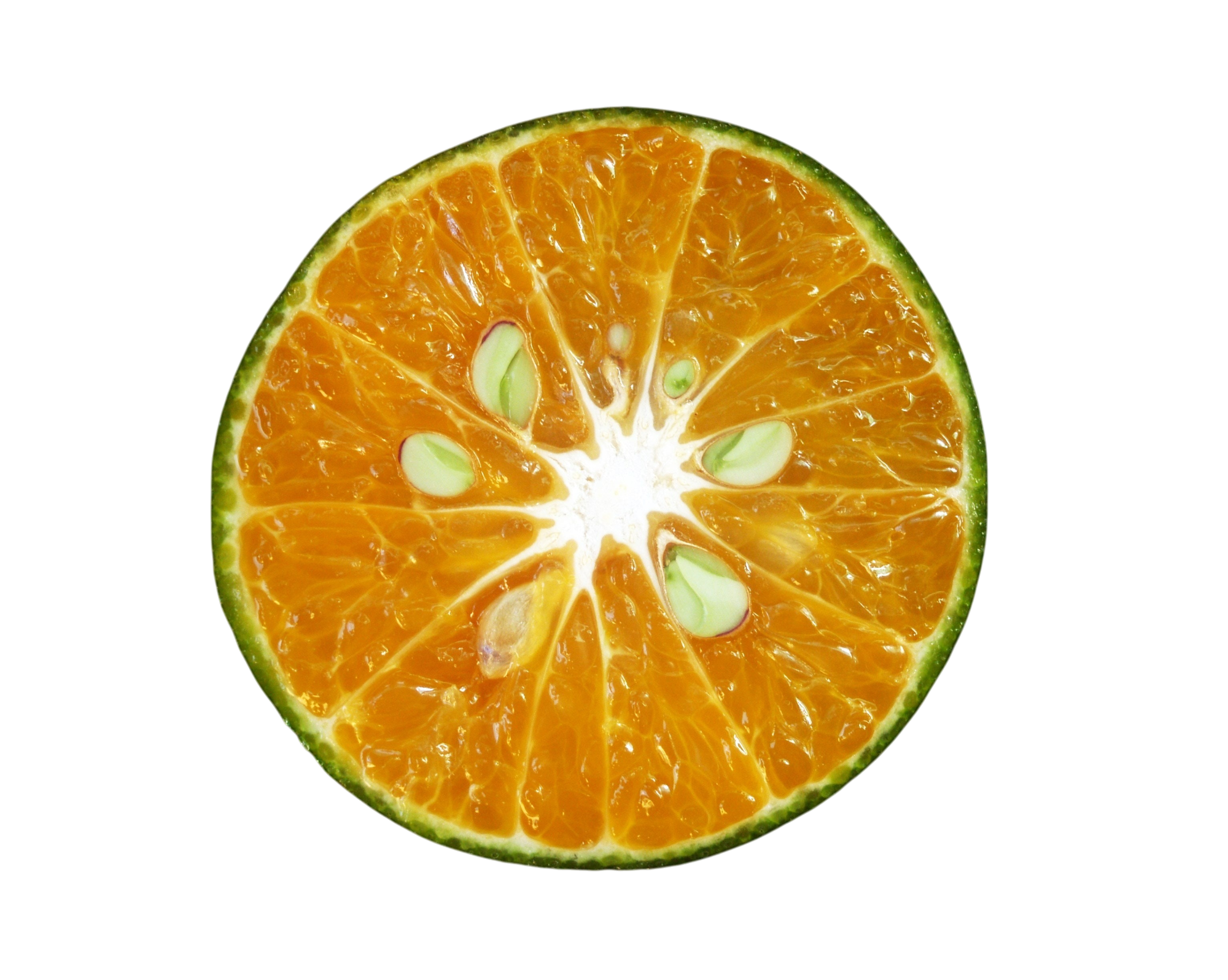 Wholesale delivery of fresh citrus