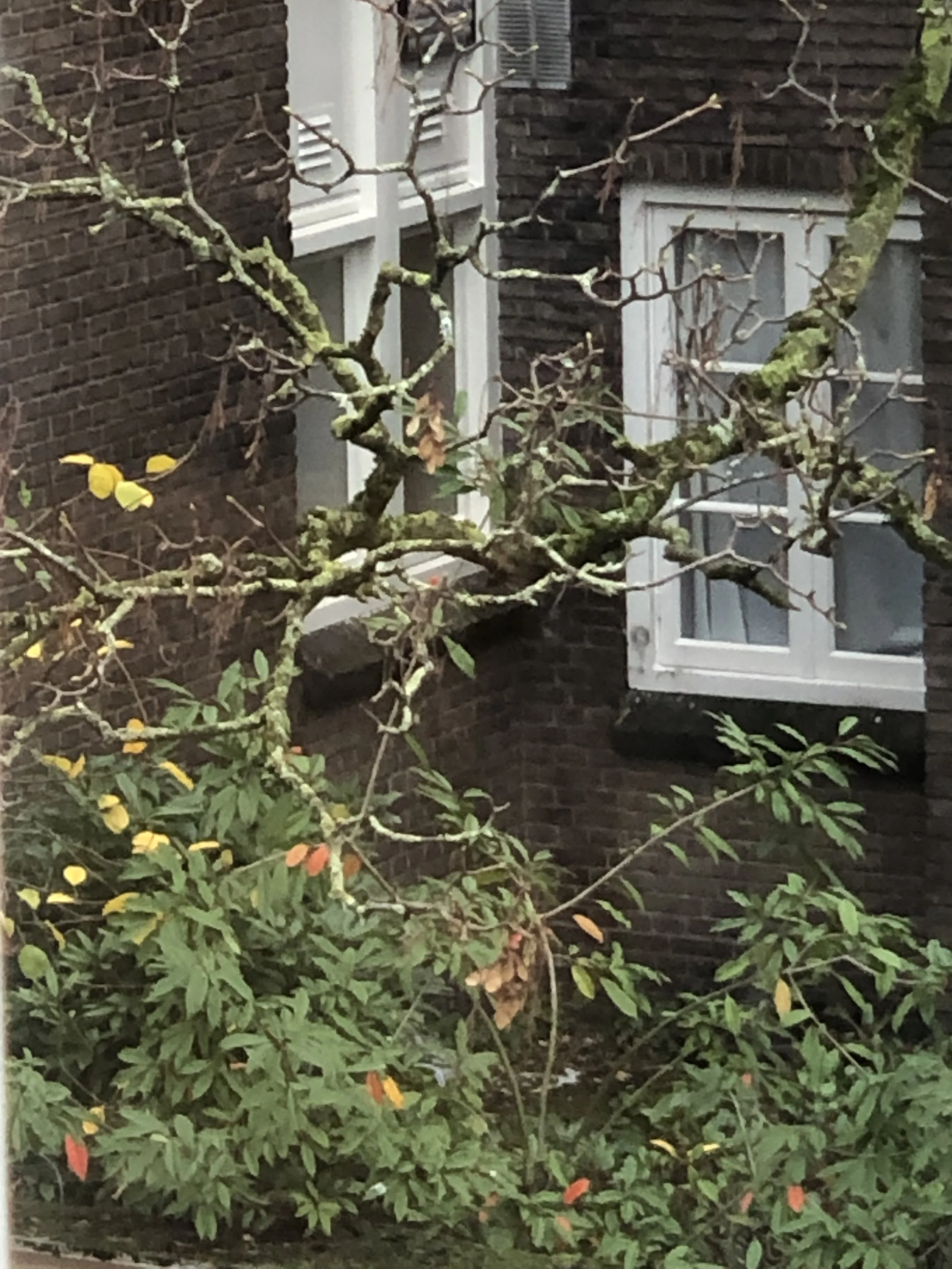 Copy of IMG_1670.jpeg