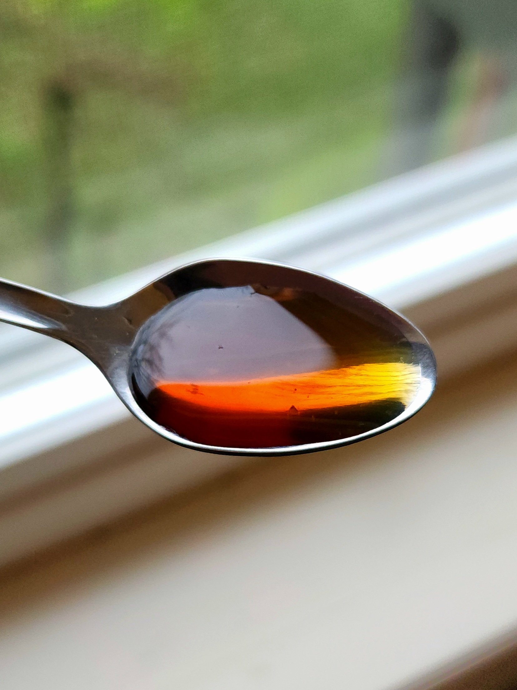 Spruce Tip Syrup- Forest Foraged and Delightfully Delicious 20 ML