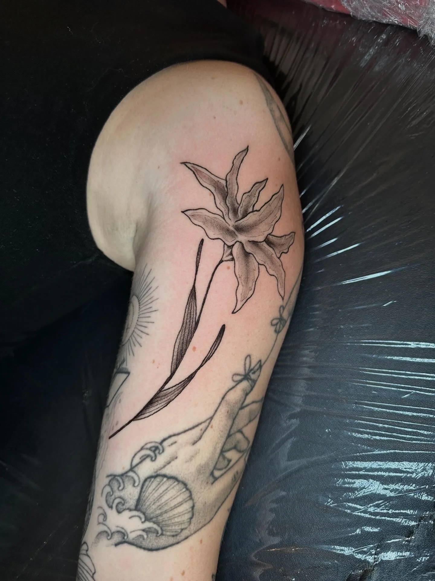 Tattoo of a large leaf on upper arm with a sun and seashell design below on a person's skin.