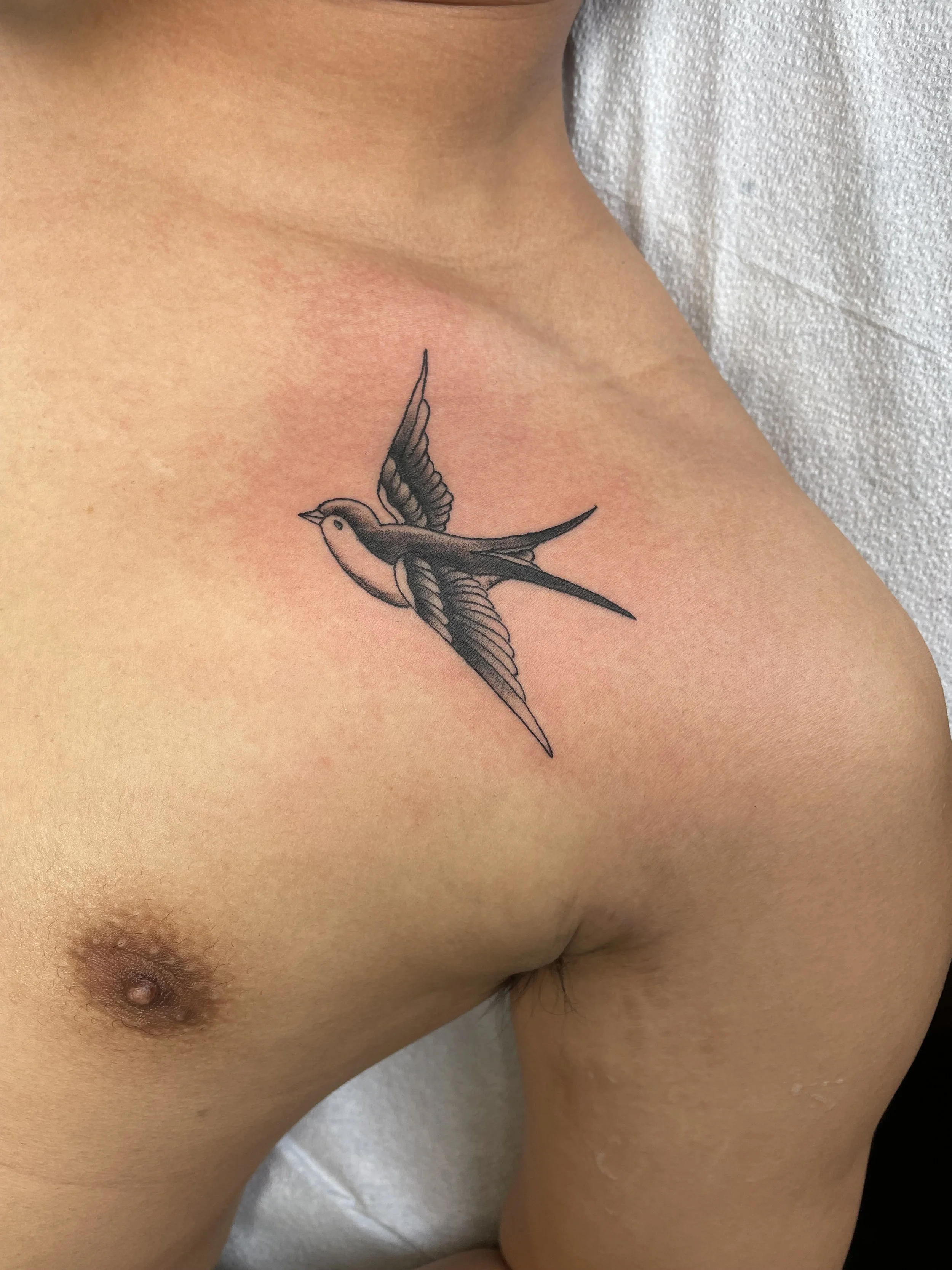 Tattoo of a flying bird on a person's upper chest near the shoulder.