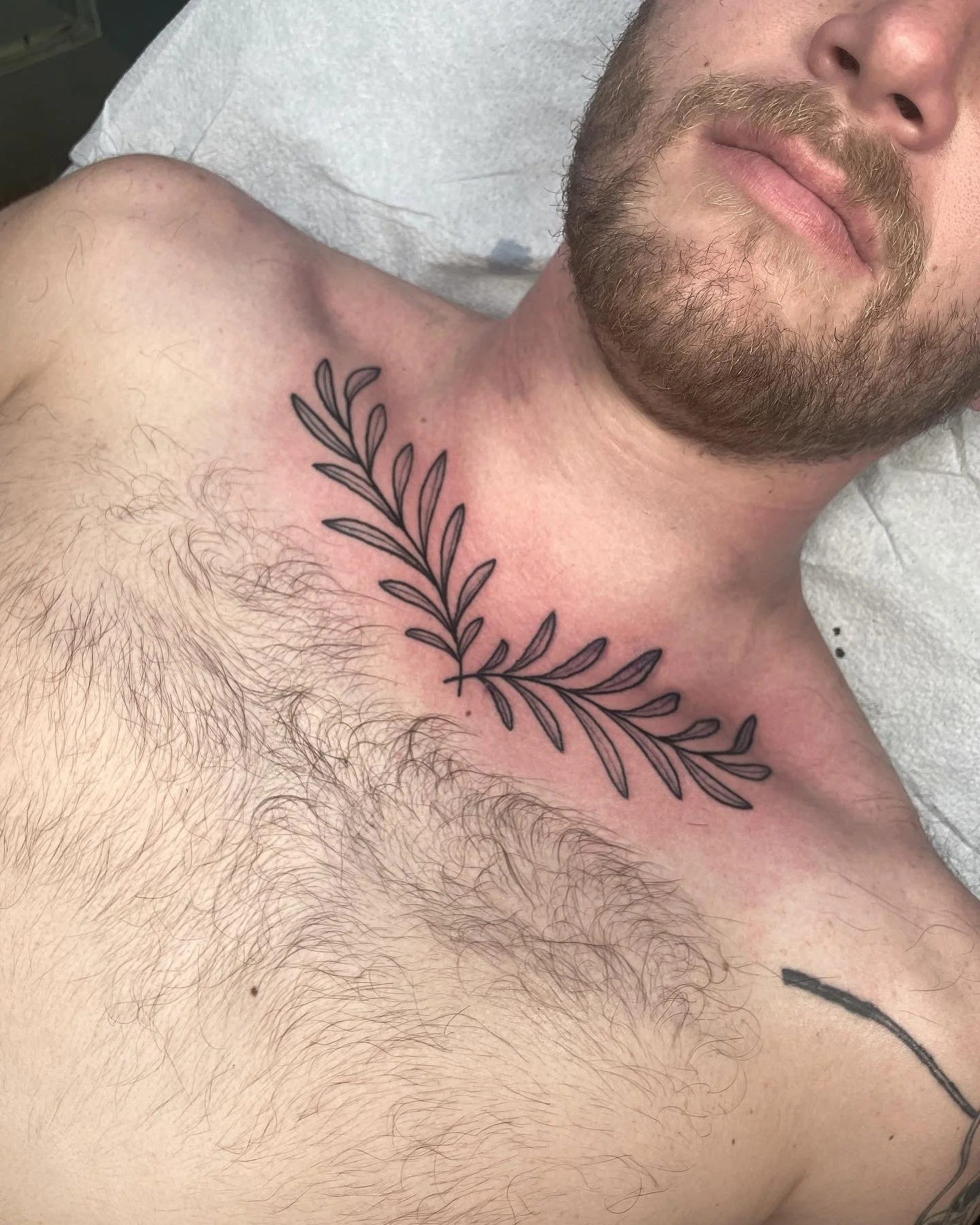 A man with a beard lying down, showing a new tattoo of a black outlined leafy branch on his upper chest near his shoulder.