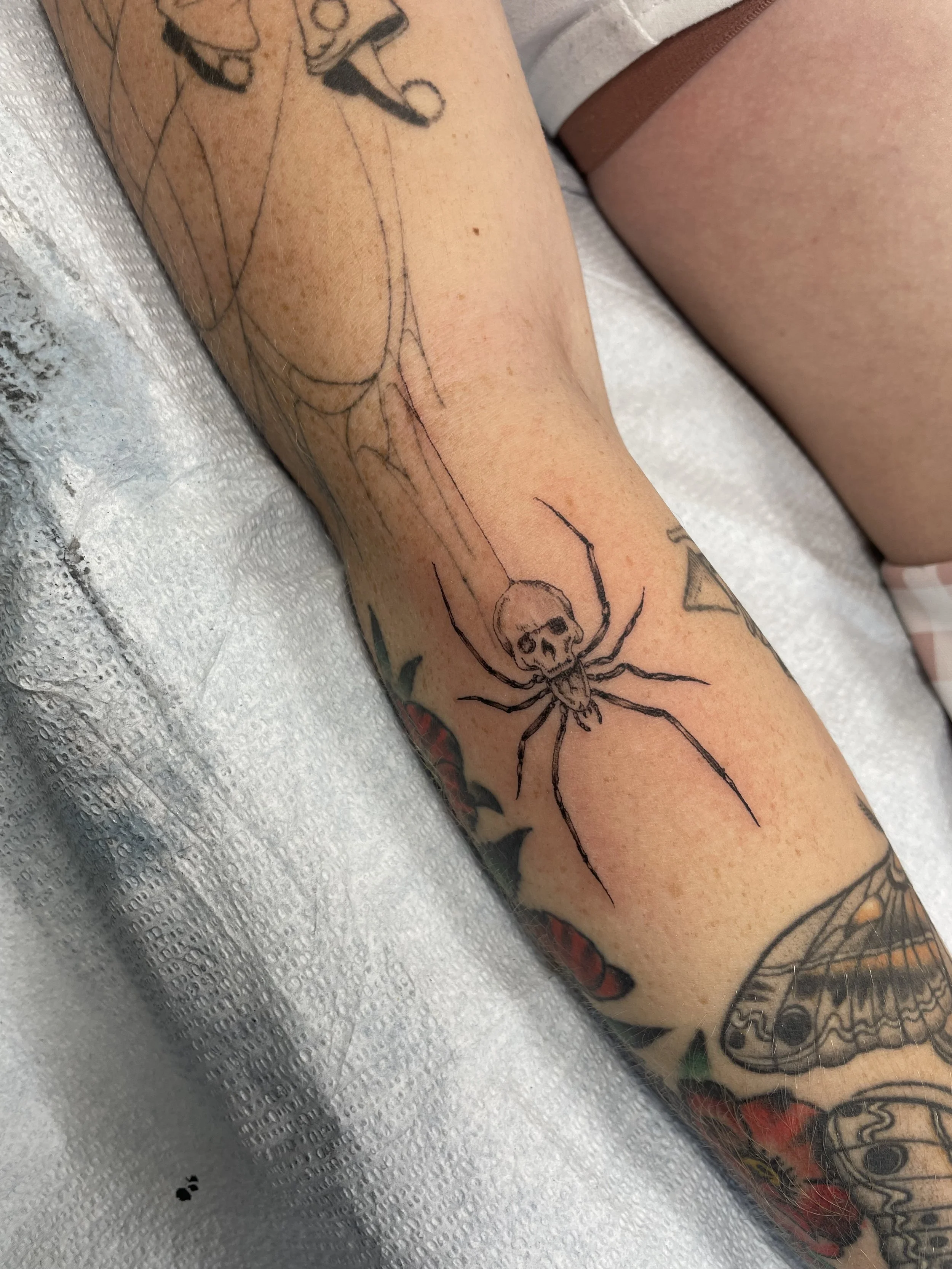 A tattoo of a spider with a skull in the middle on a person's forearm.