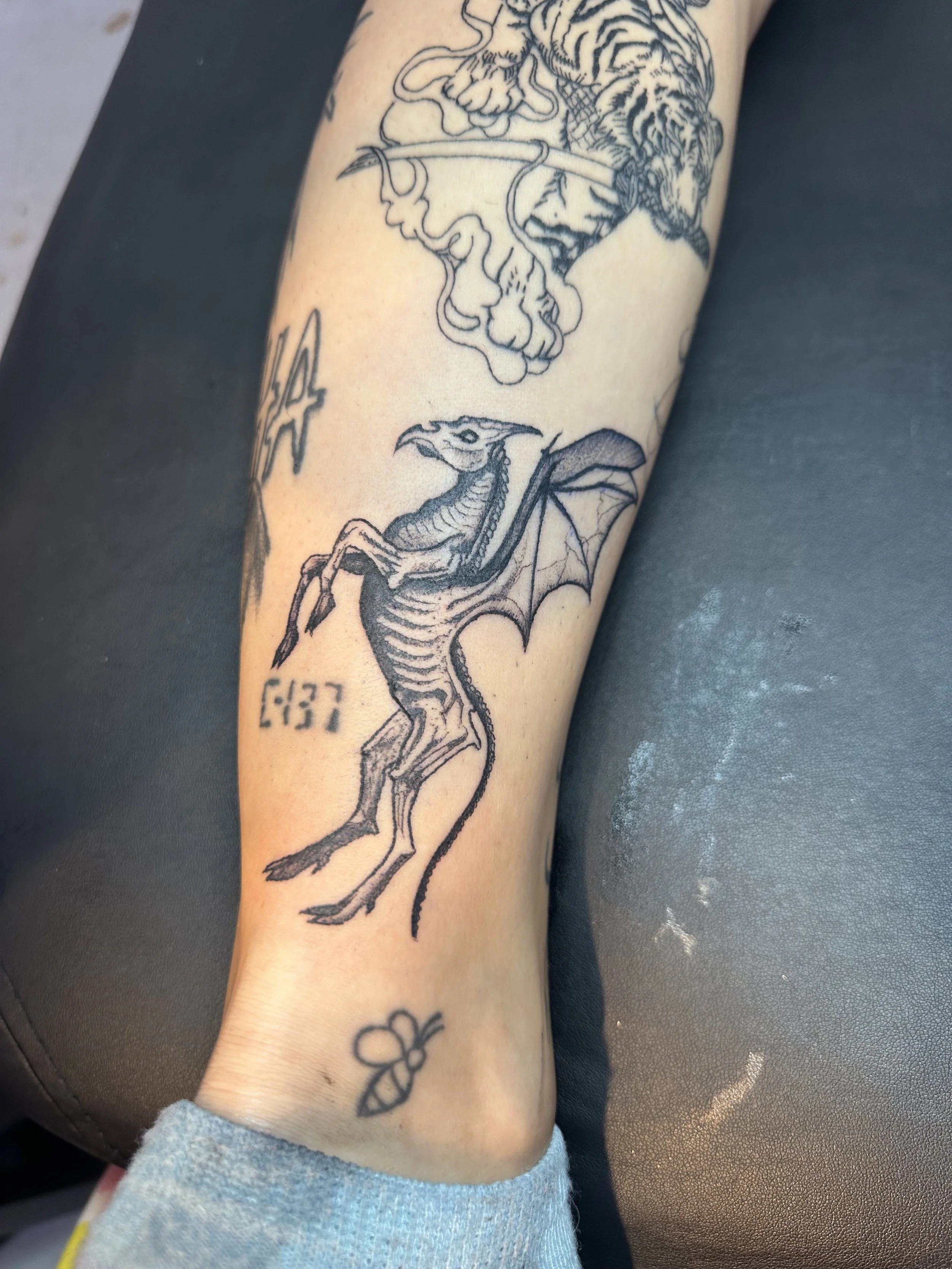 Tattoo of a dragon with wings and a skeleton-like body on a person's forearm.