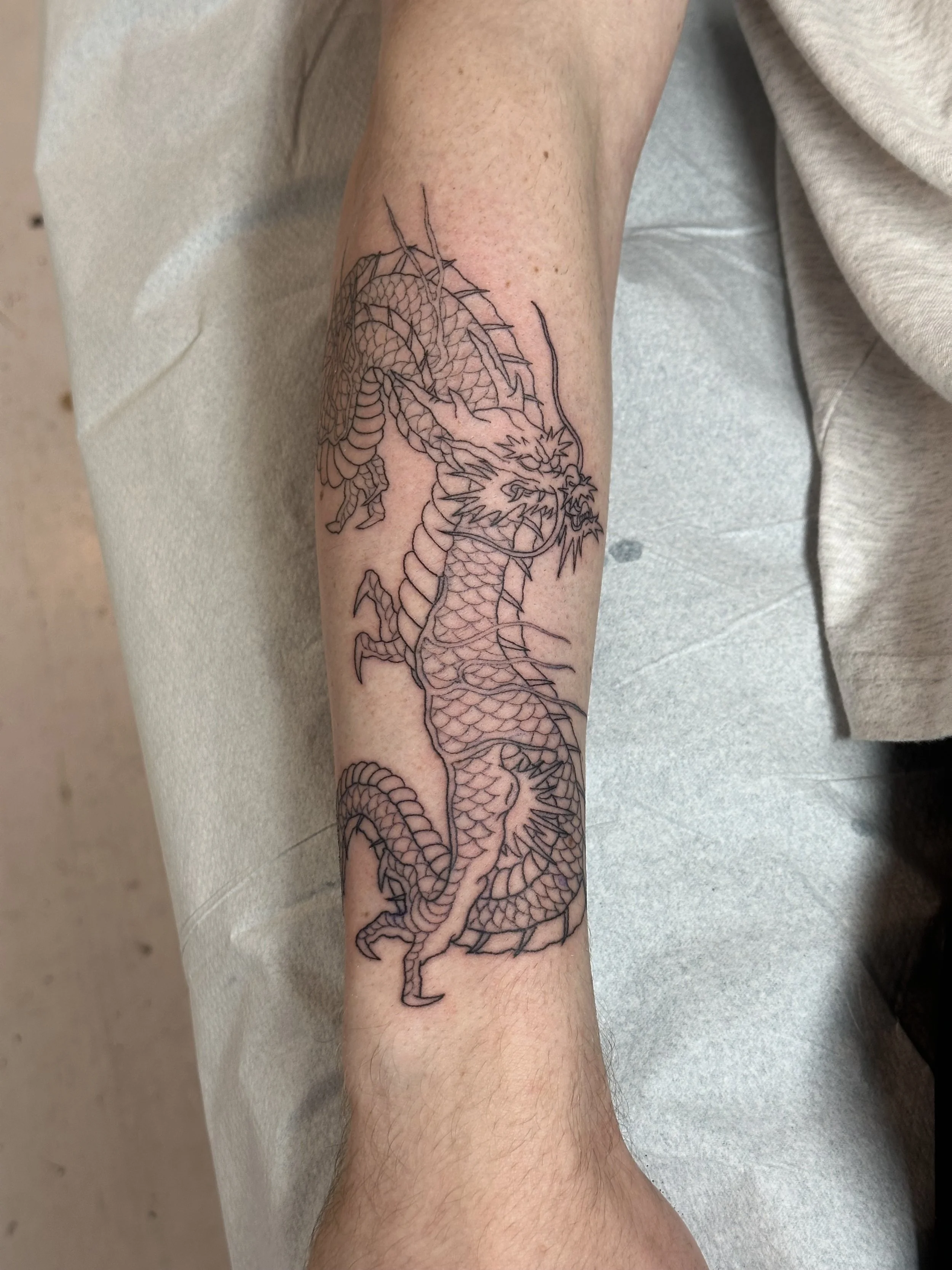 Outline sketch of a fierce, traditional style dragon tattoo on a person's forearm.
