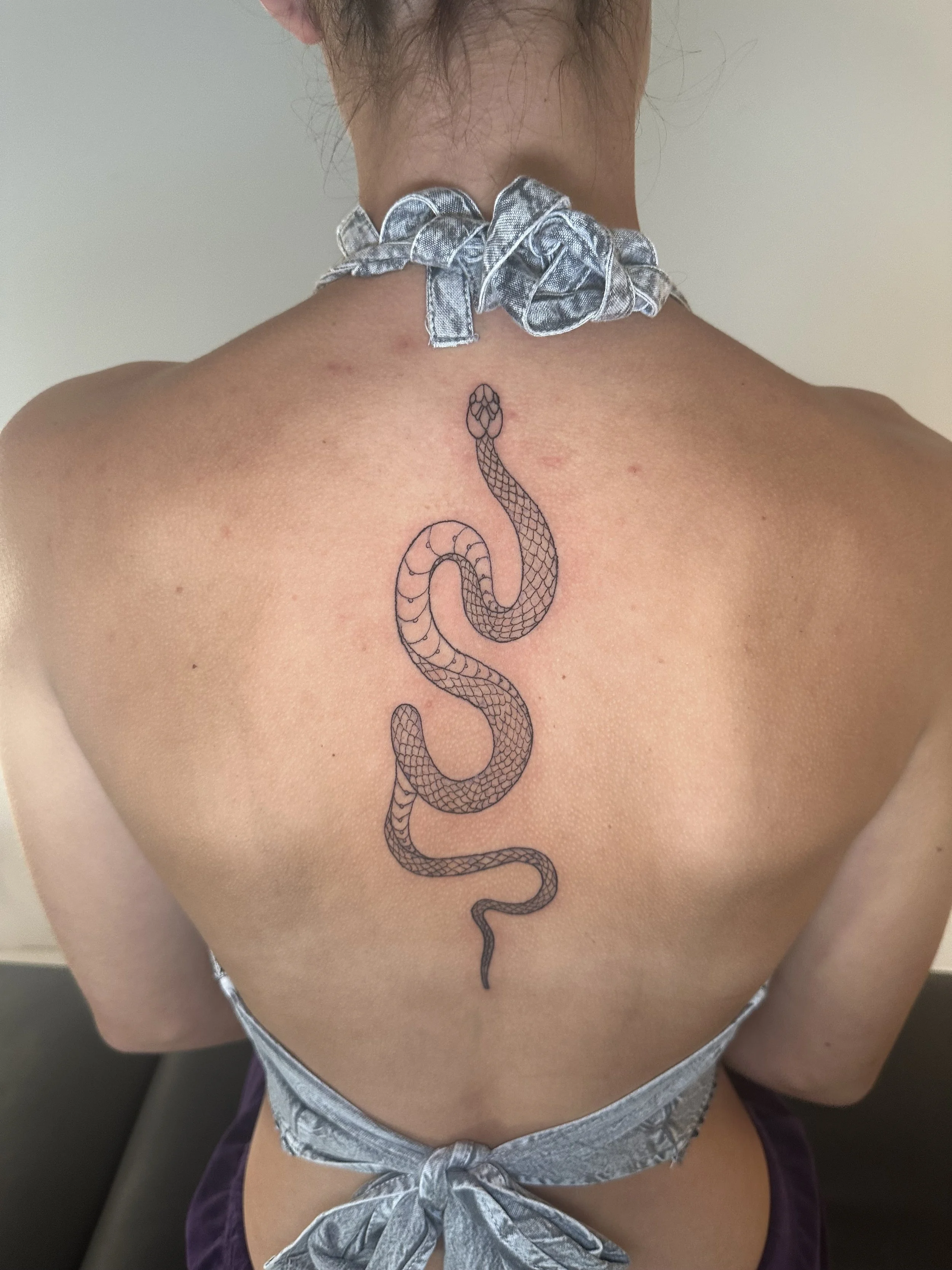 Back tattoo of a snake on a person's back, with the person wearing a silver knotted halter top.