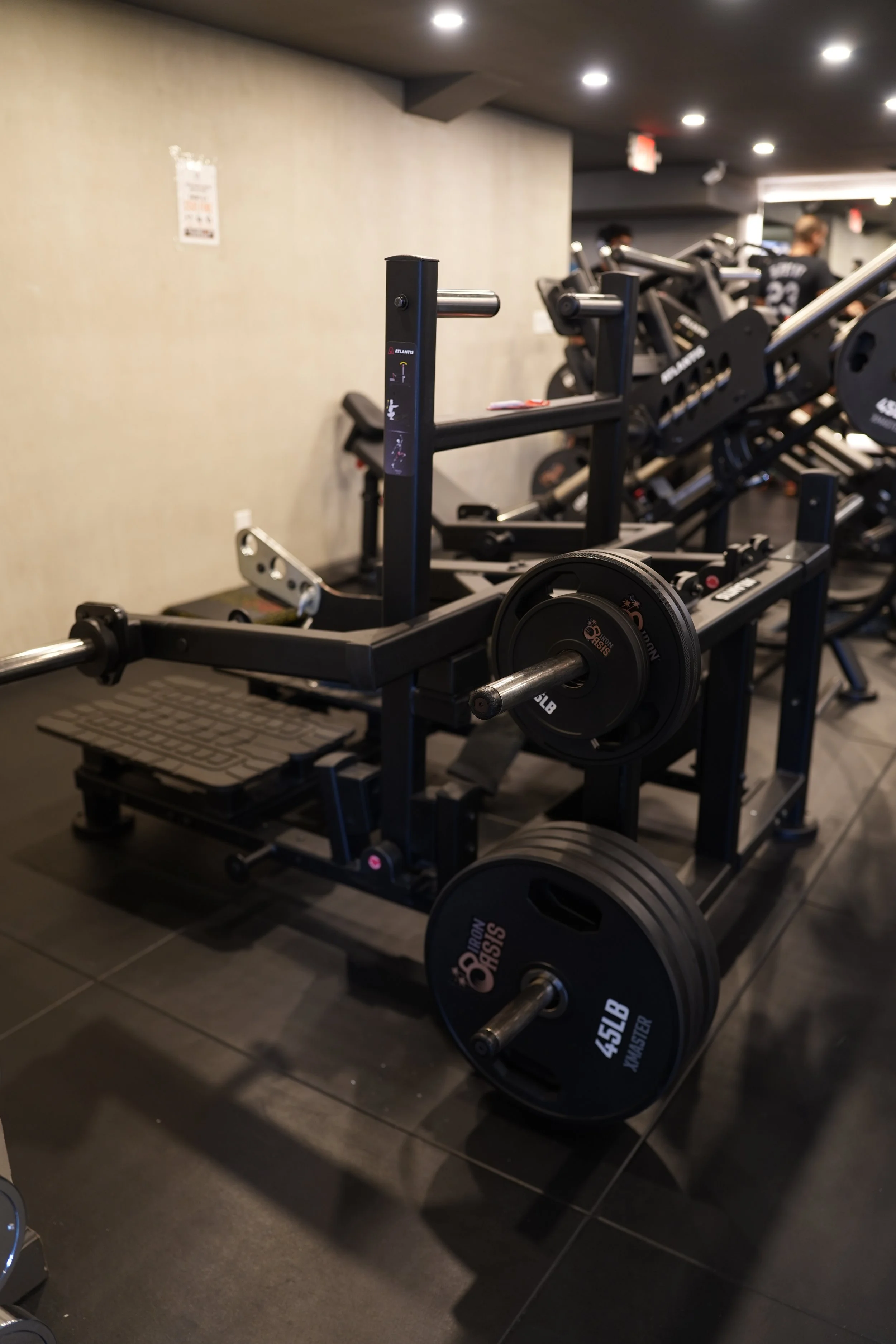 Atlantis Belt Squat