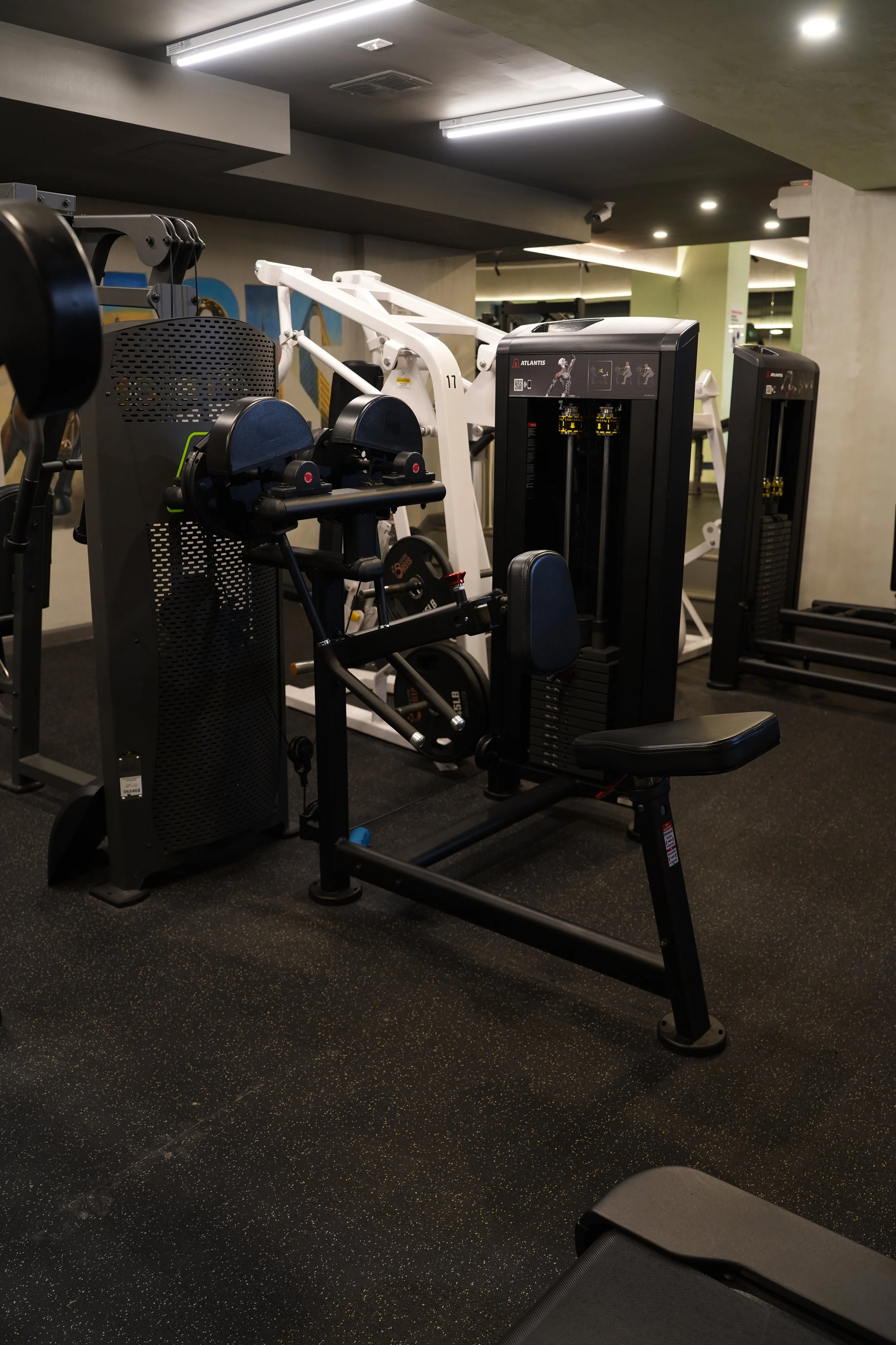 Atlantis Seated Lateral Raise