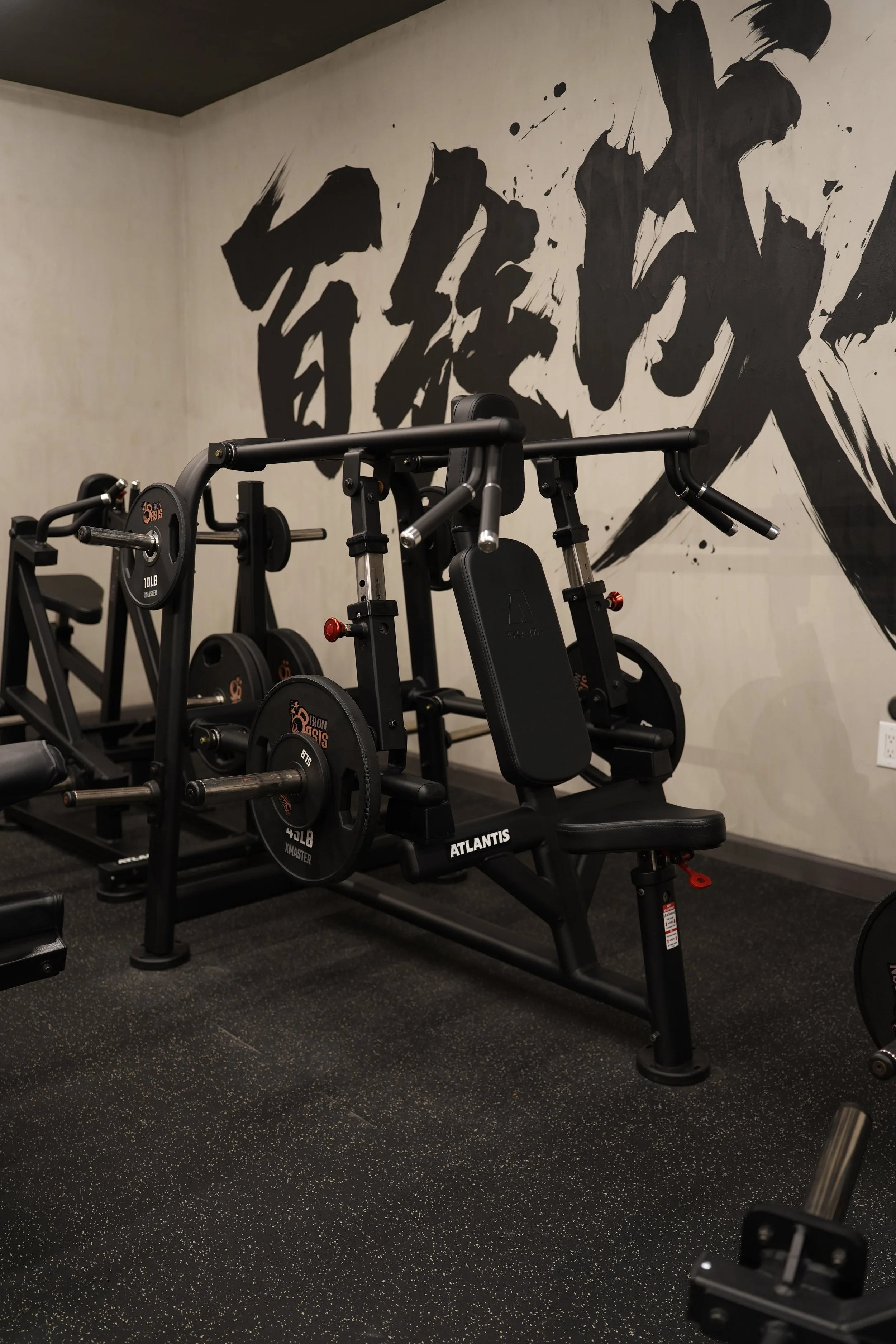 Atlantis Converging Shoulder Press