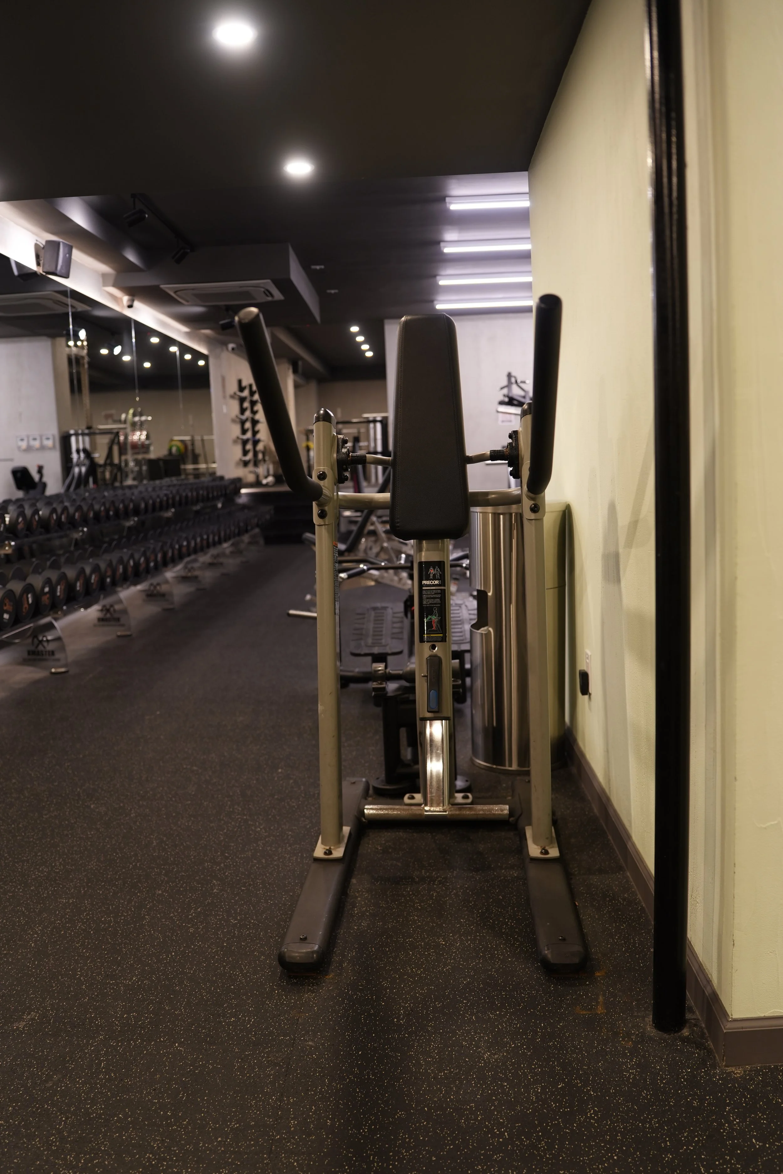 Precor Abs Crunch