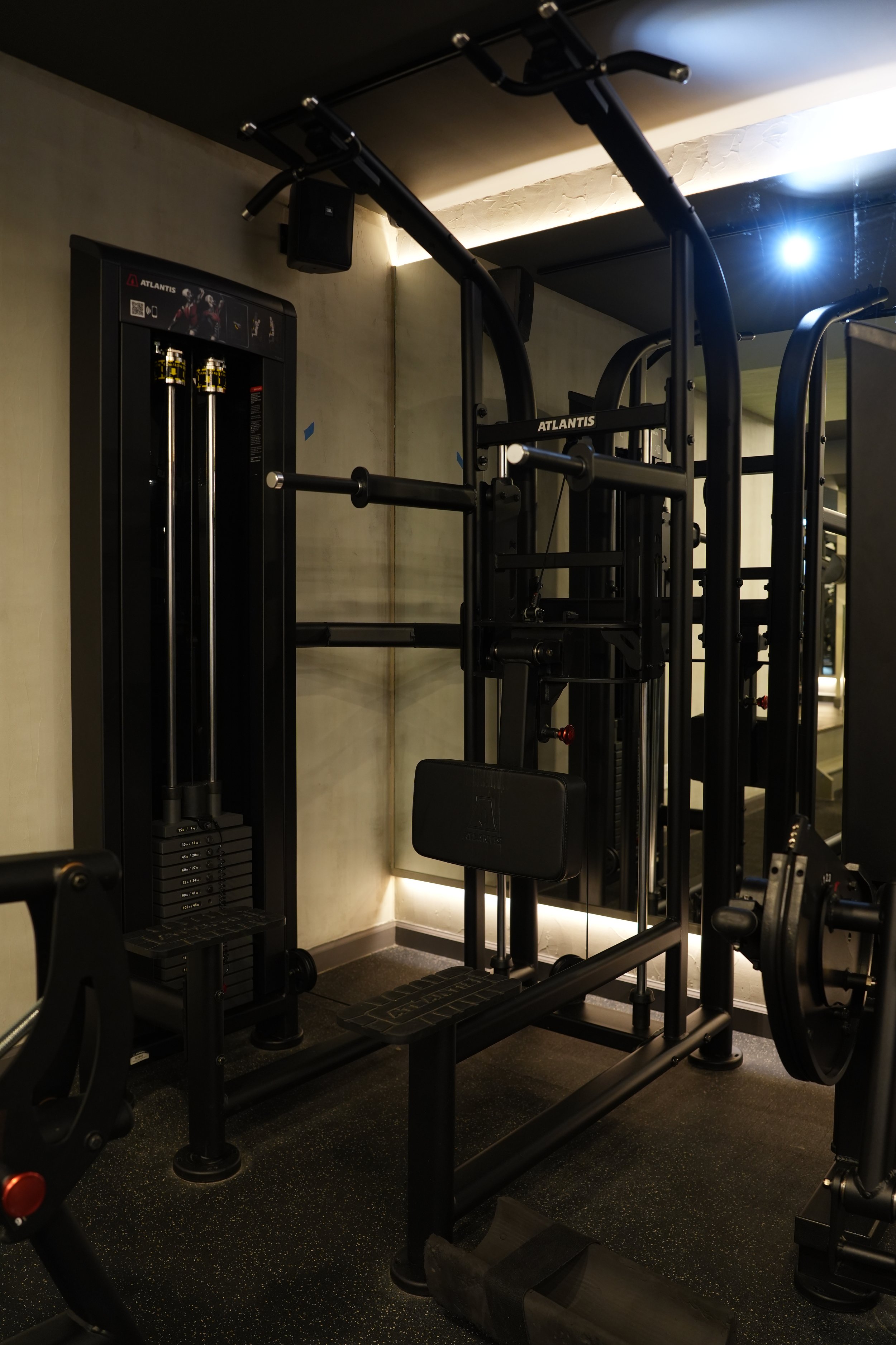 Atlantis Assited Pullup/Dip