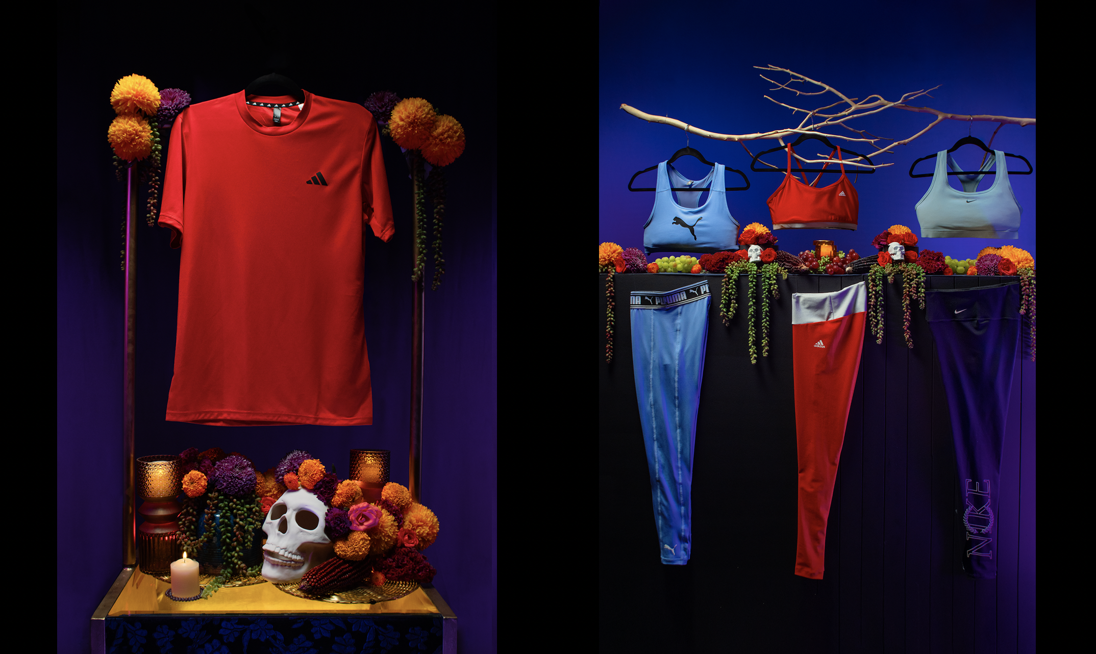 Captura de pantalla 2026-10-15 a la(s) 10.55.57 p.m..png