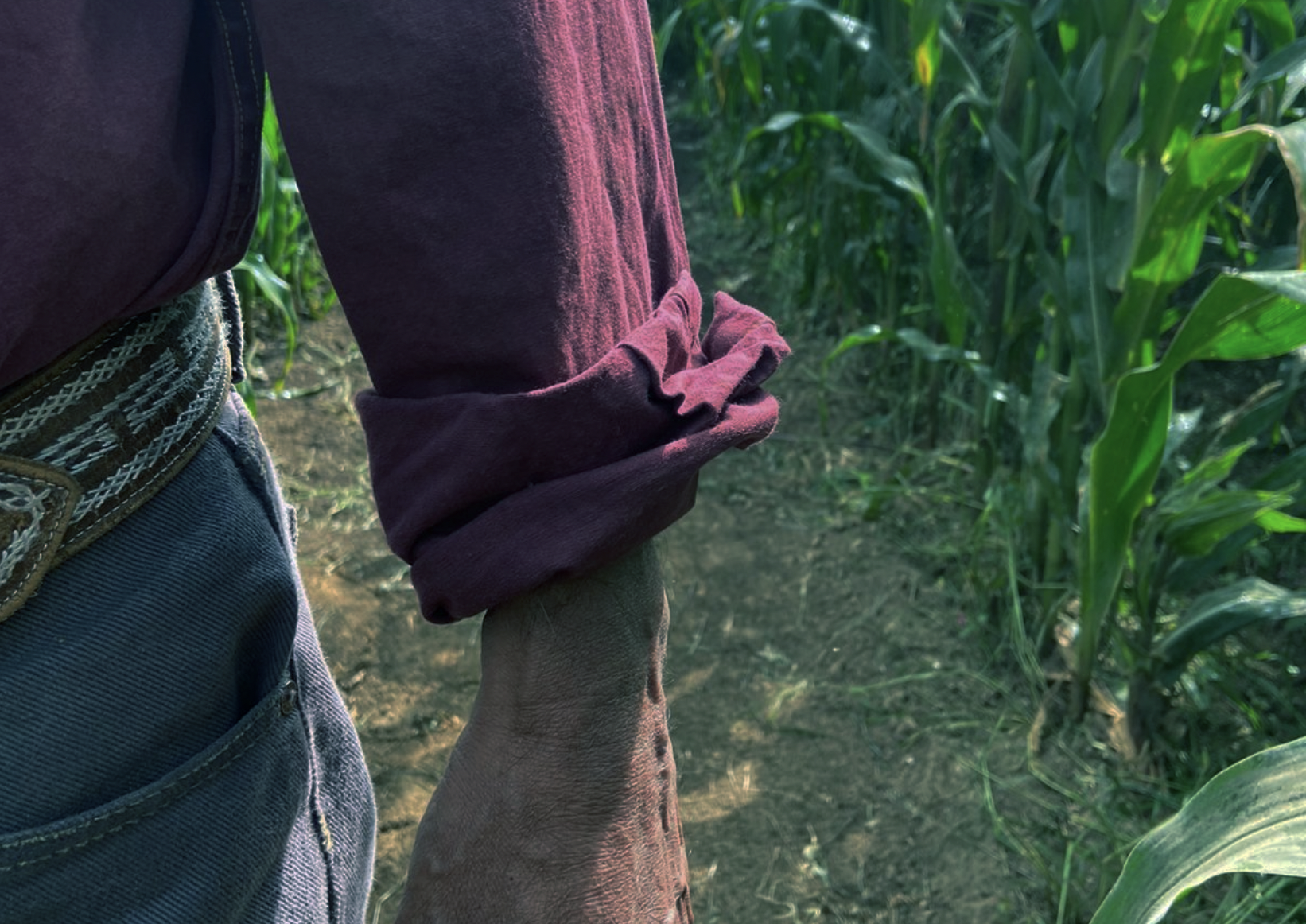 Captura de pantalla 2026-01-02 a la(s) 4.54.32 p.m..png