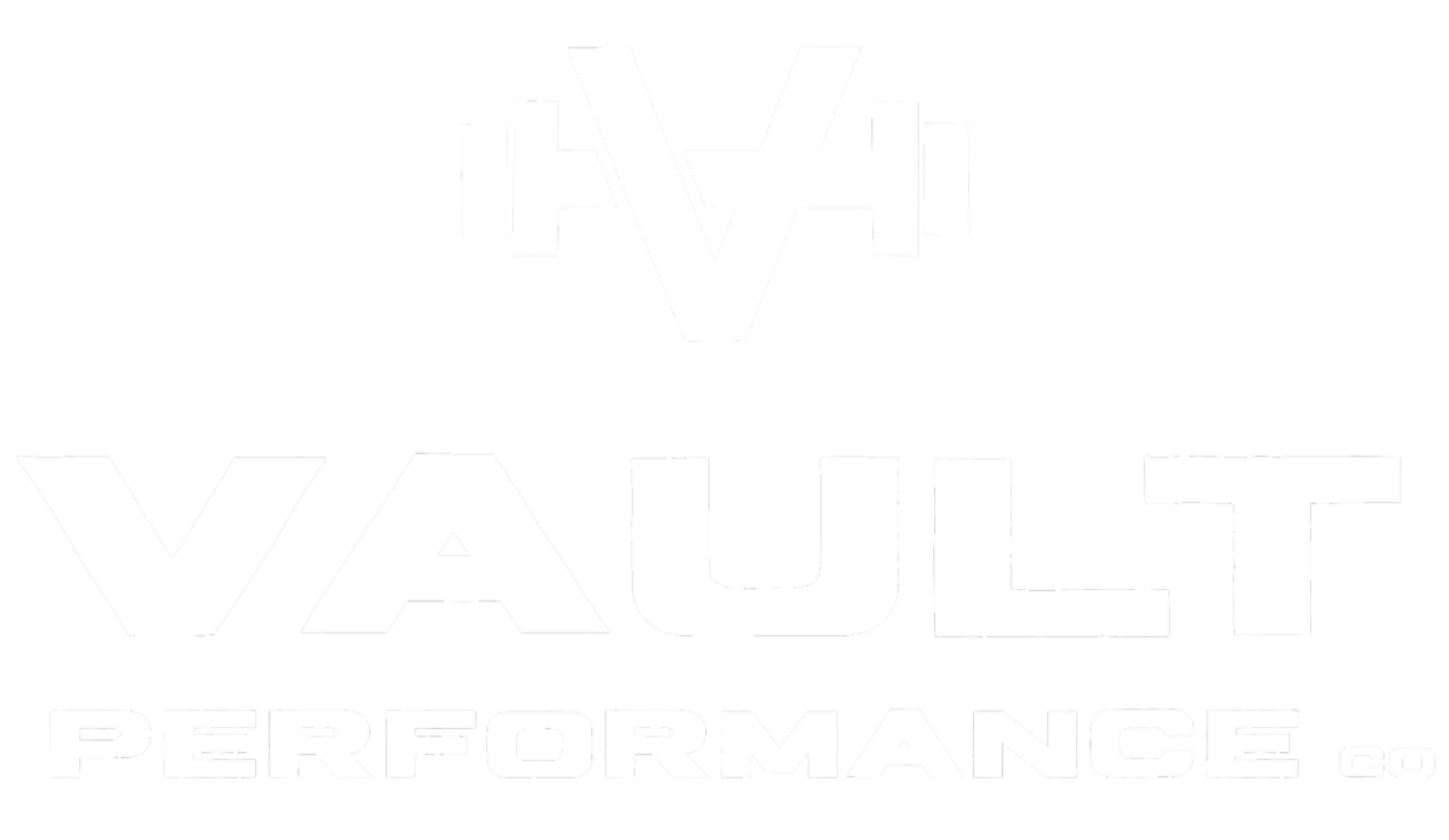 Vault Performance Co., Odessa's newest gym and fitness training facility.