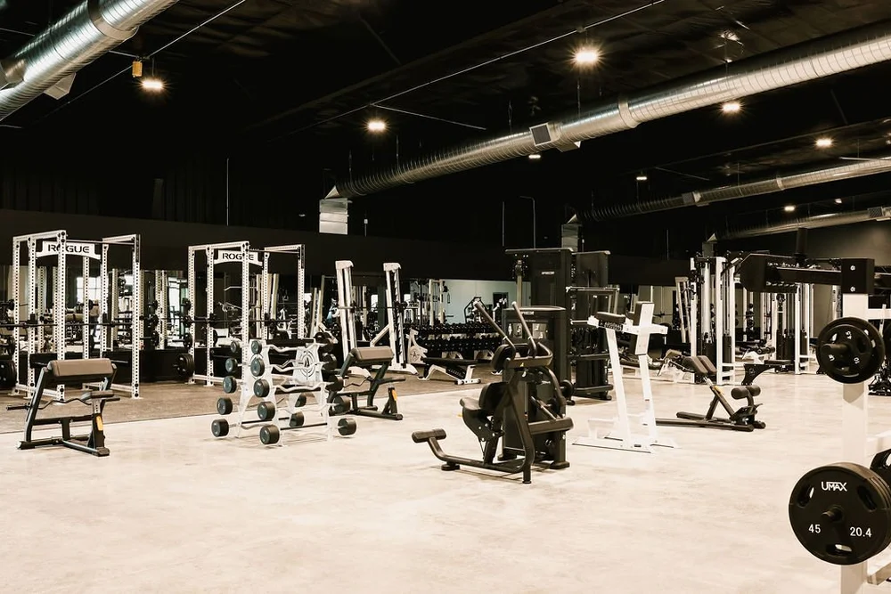 Vault Performance Co. | Elevate Your Fitness Today