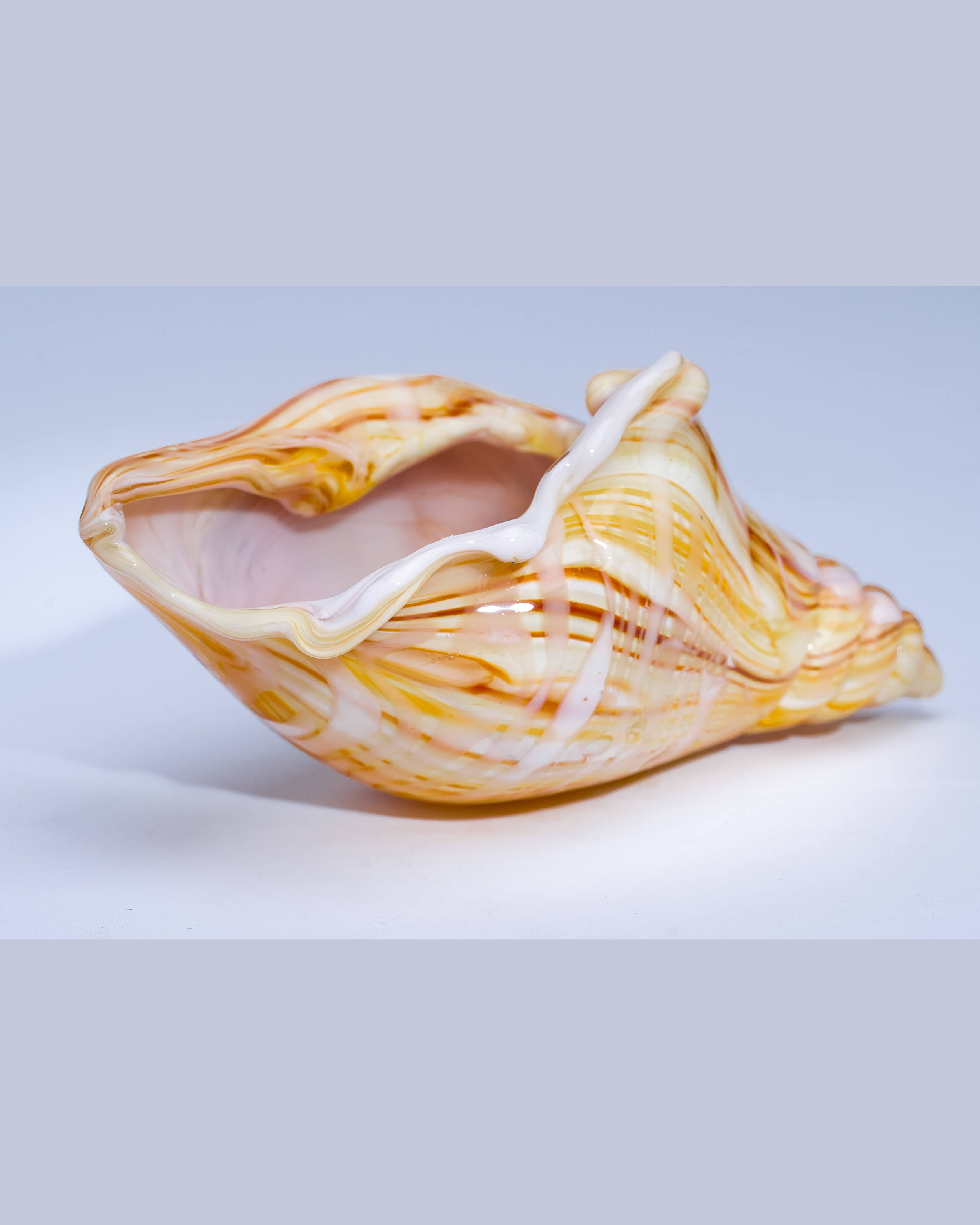 Striped Mega Shell