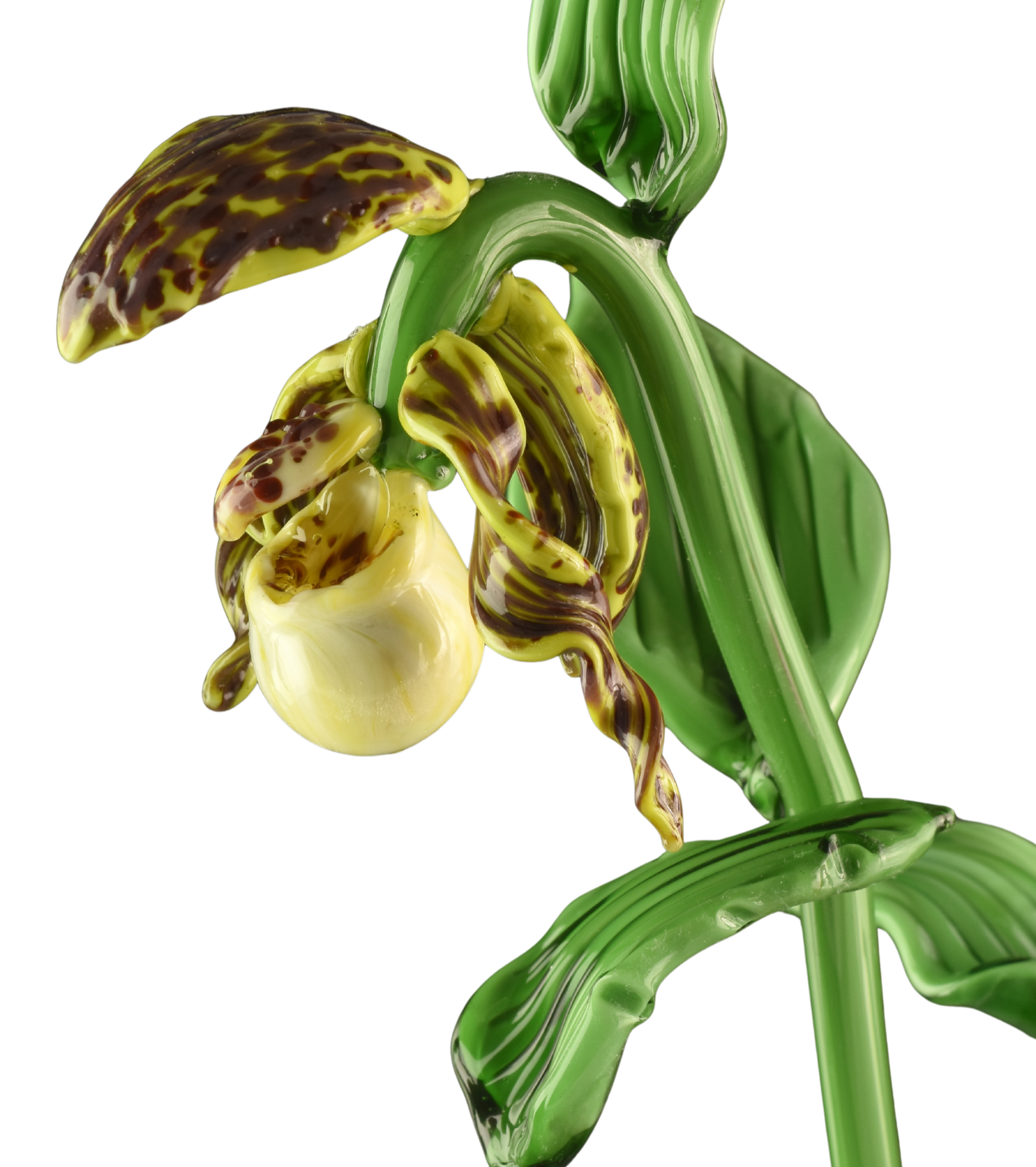 A close-up photograph of an flower glass sculpture resembling a flower, with green and yellow elongated loops and petals with dark brown spots.