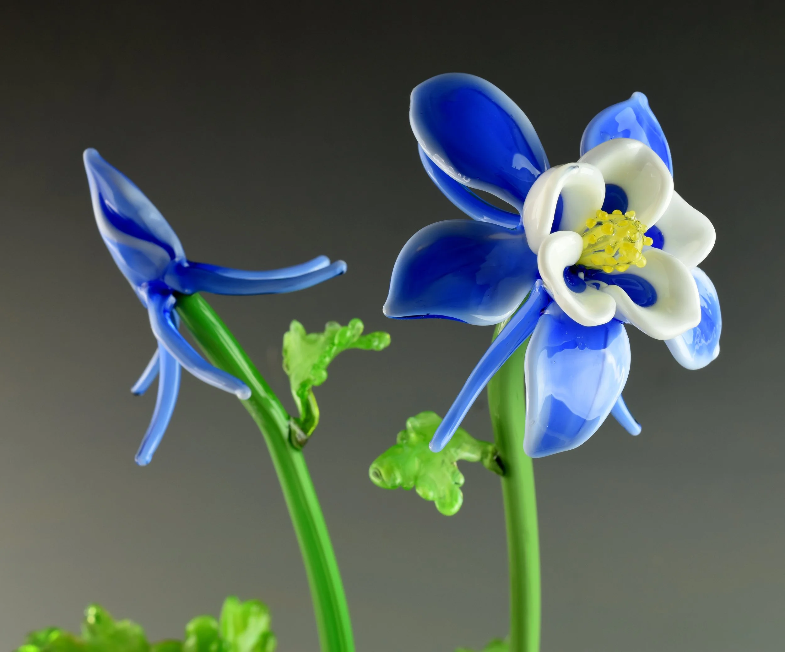 Close-up of a colorful glass flower sculpture with blue, white, and yellow petals and green stem against a dark background.