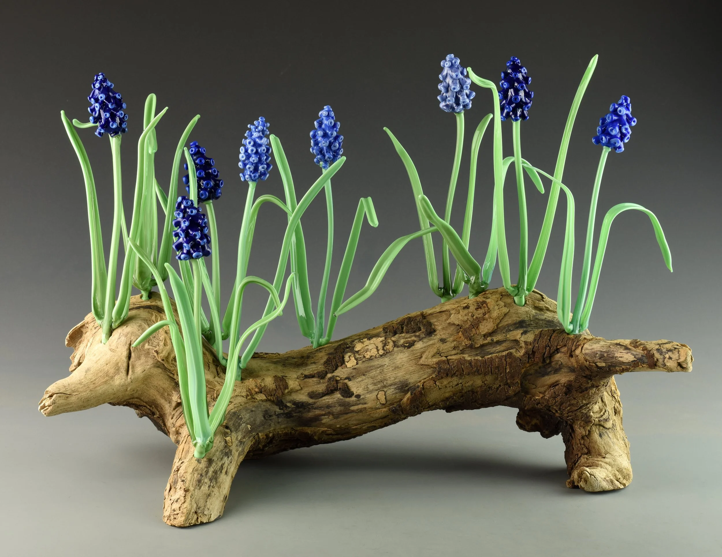 Glass art sculpture of grape hyacinth flowers with green stems on driftwood base