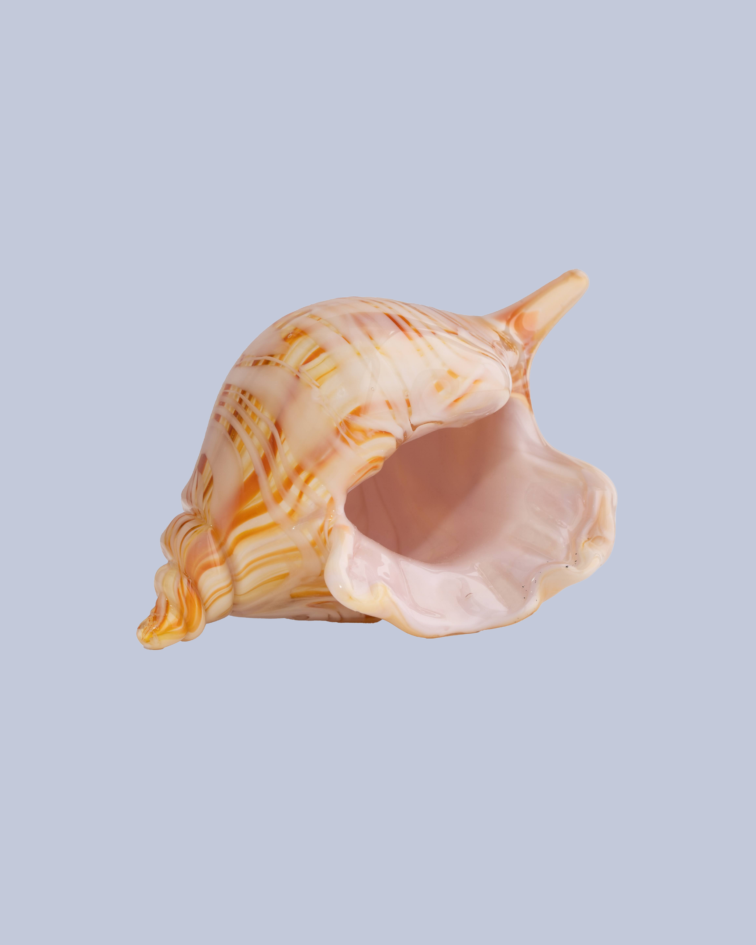 Honey Spiral Flameworked Glass Seashell