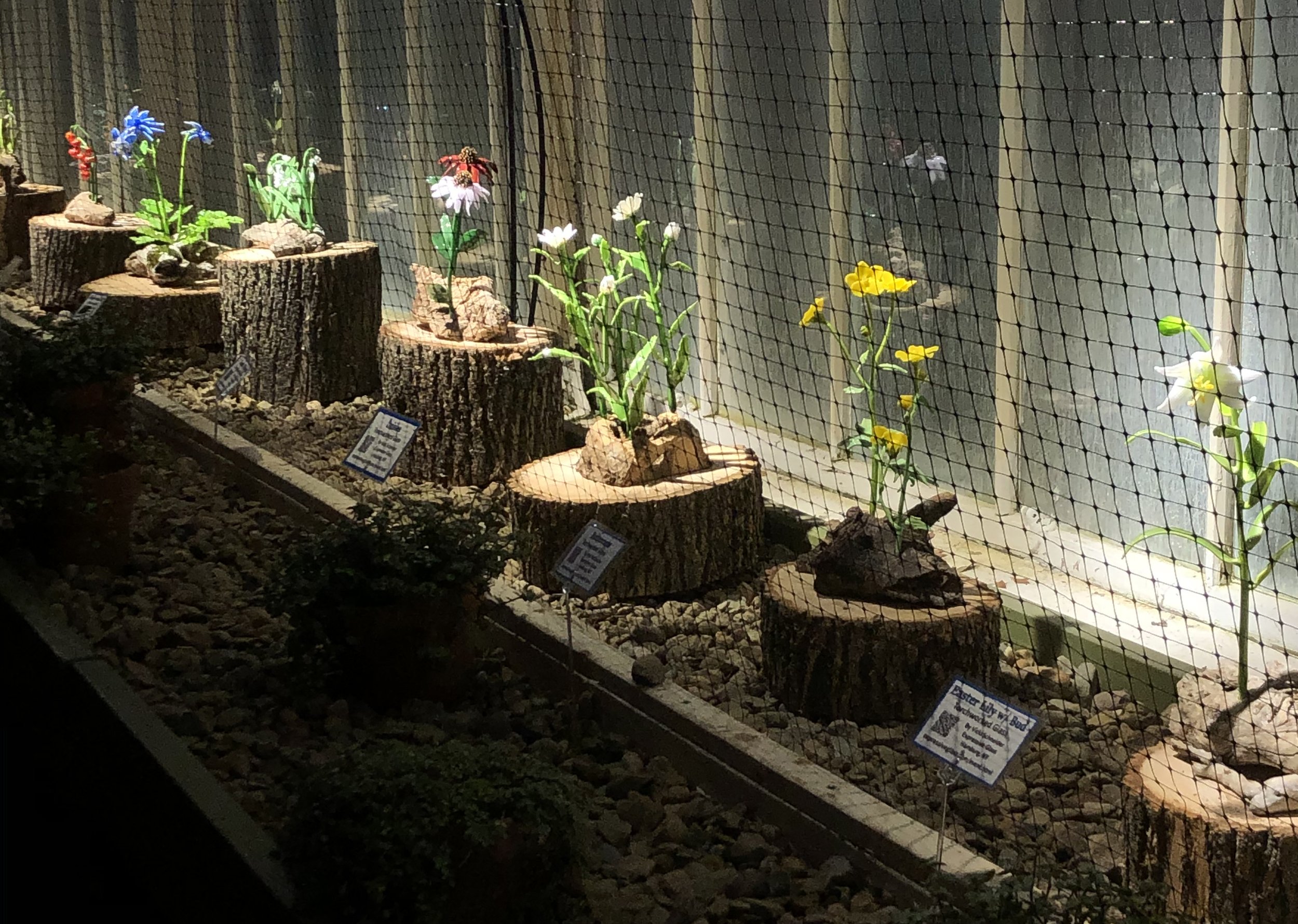 Various colorful flowers displayed on tree stumps inside a wire mesh enclosure, with informational signs on the ground.