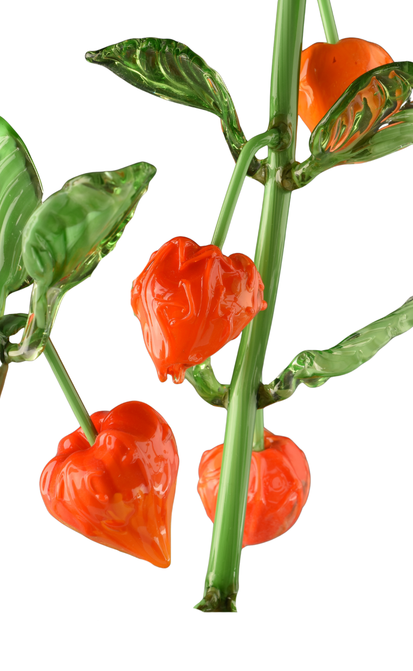 Close-up of a glass sculpture of a orange pepper, with a green stem and leaves, in a realistic style.