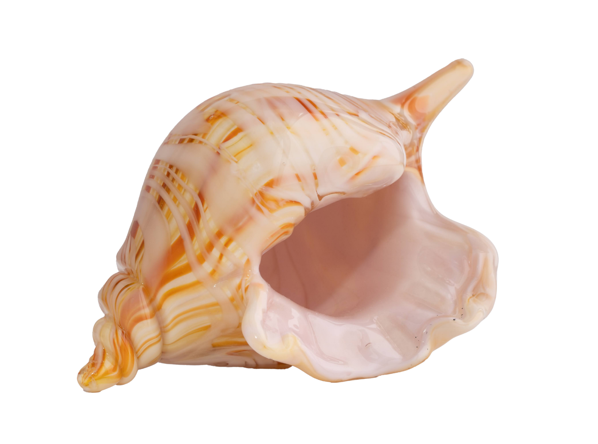 Close-up of a glass sea shell with swirled orange, white, and beige patterns.