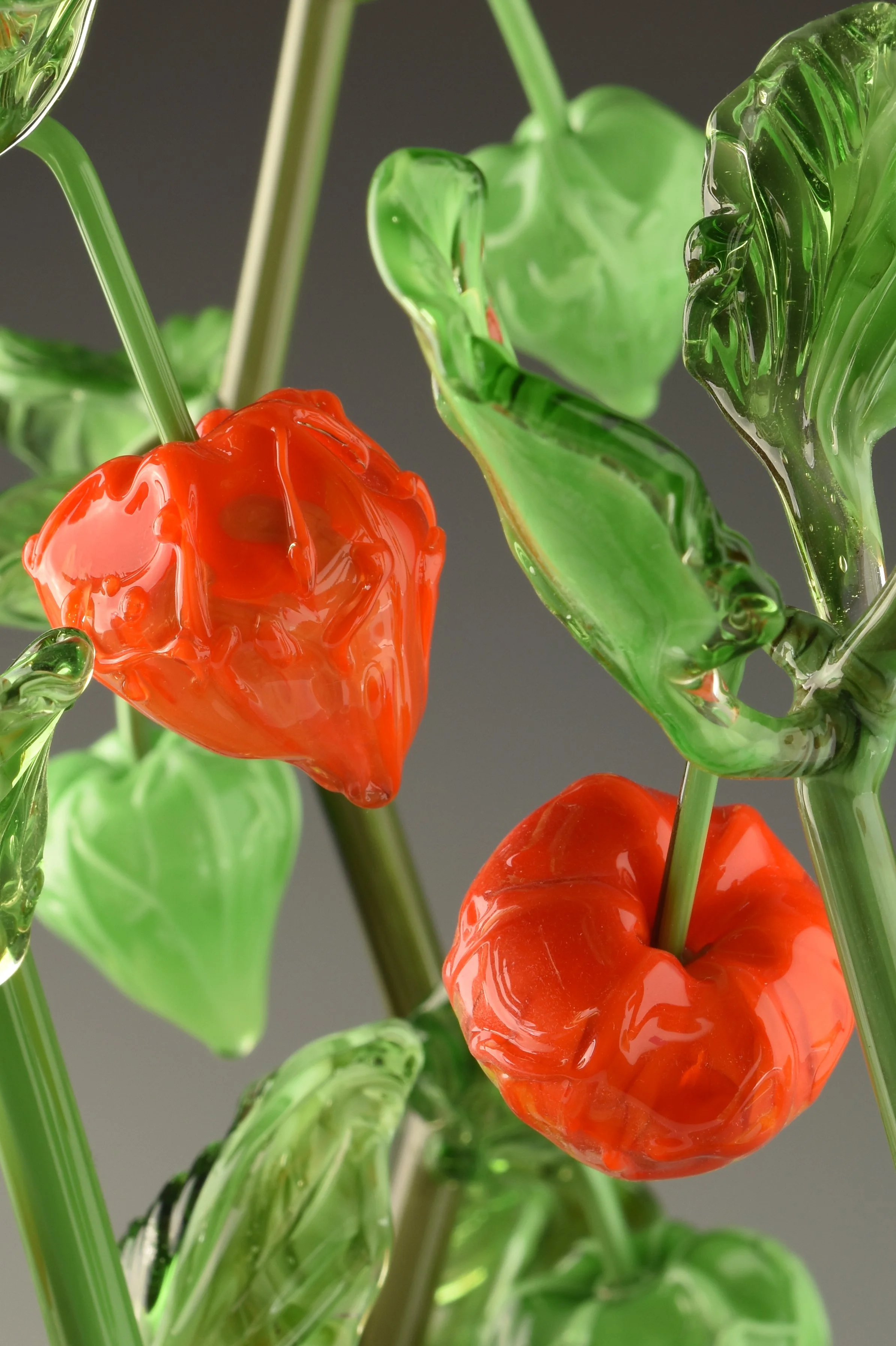 Close-up of a colorful glass sculpture resembling cherry tomatoes and green leaves.