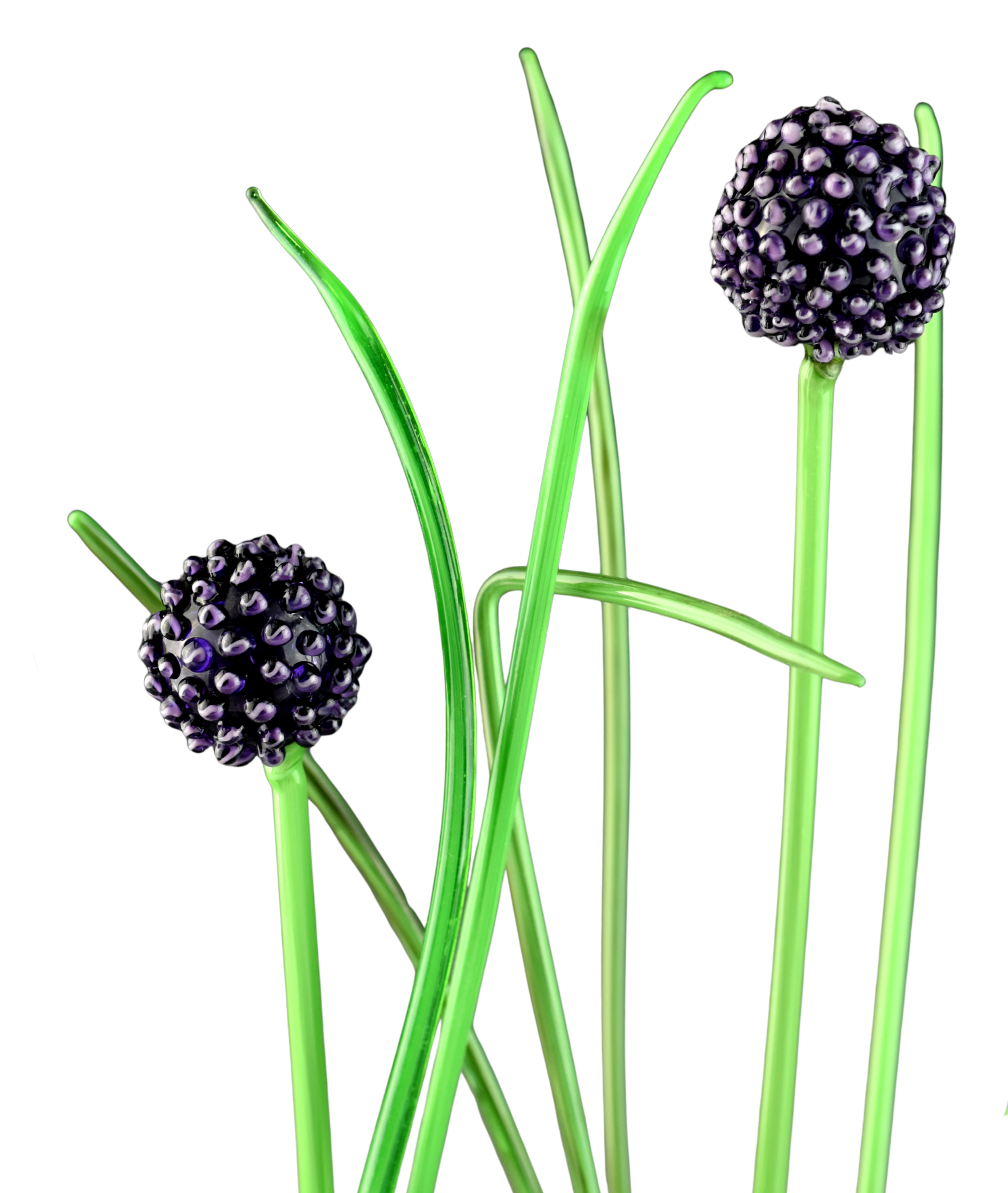 Close-up of purple blackberry-like fruits on green stems with a blurred background.