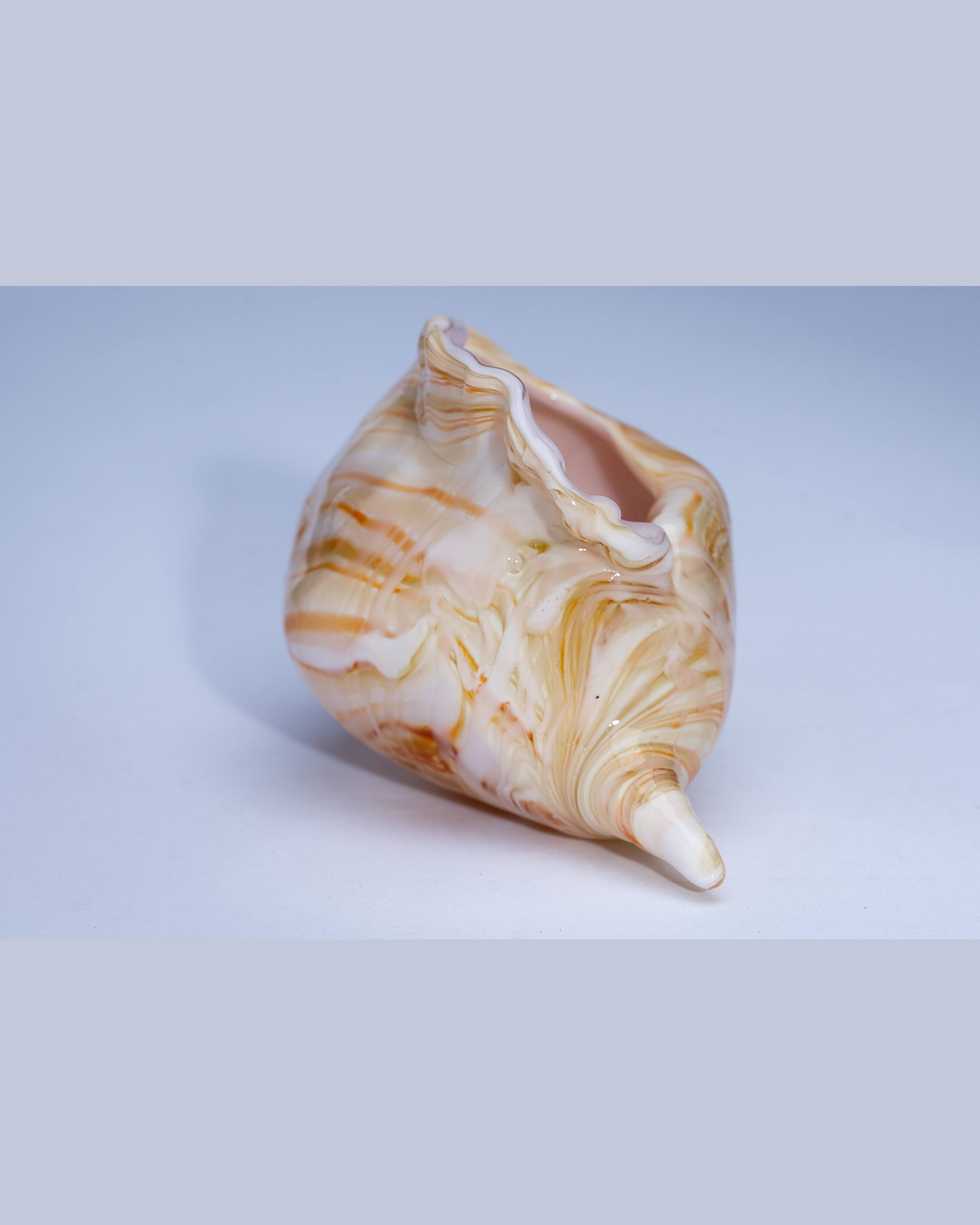 Amber Wave Shell