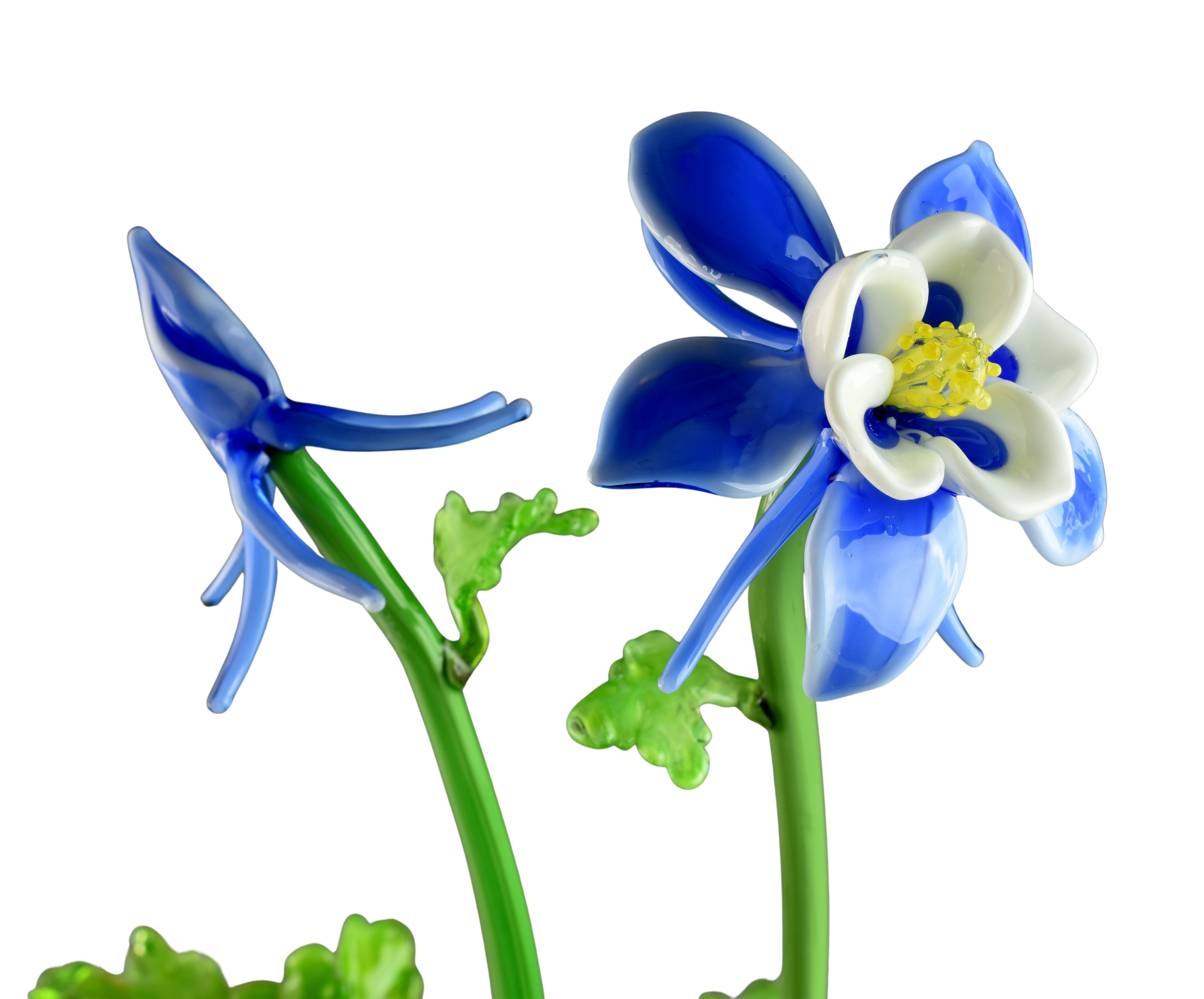 Close-up of a glass art sculpture resembling a flower with blue petals, white inner petals, yellow stamens, and green stem and leaves on a black background.