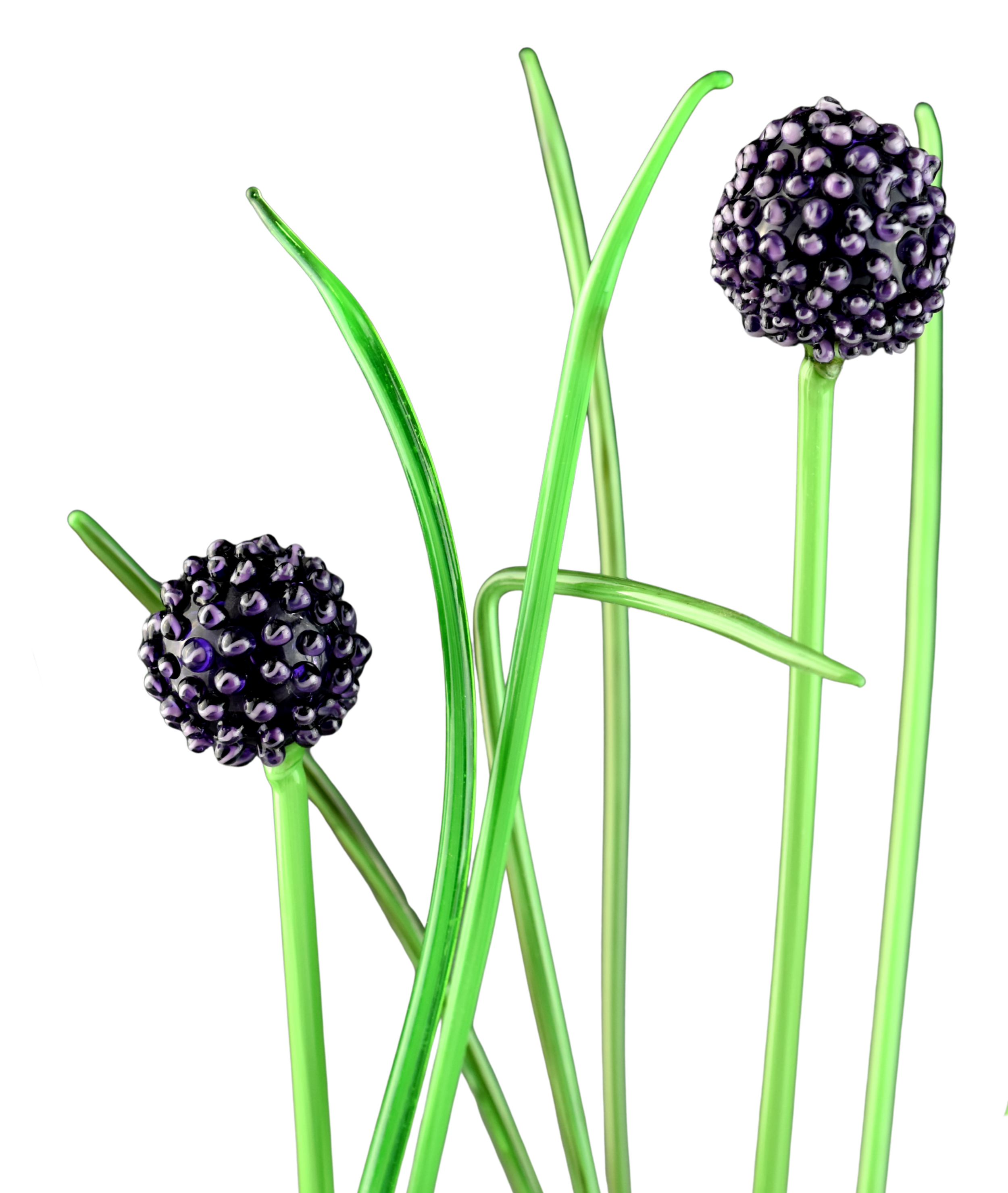 Close-up of blackberries on green stems with a blurred background.