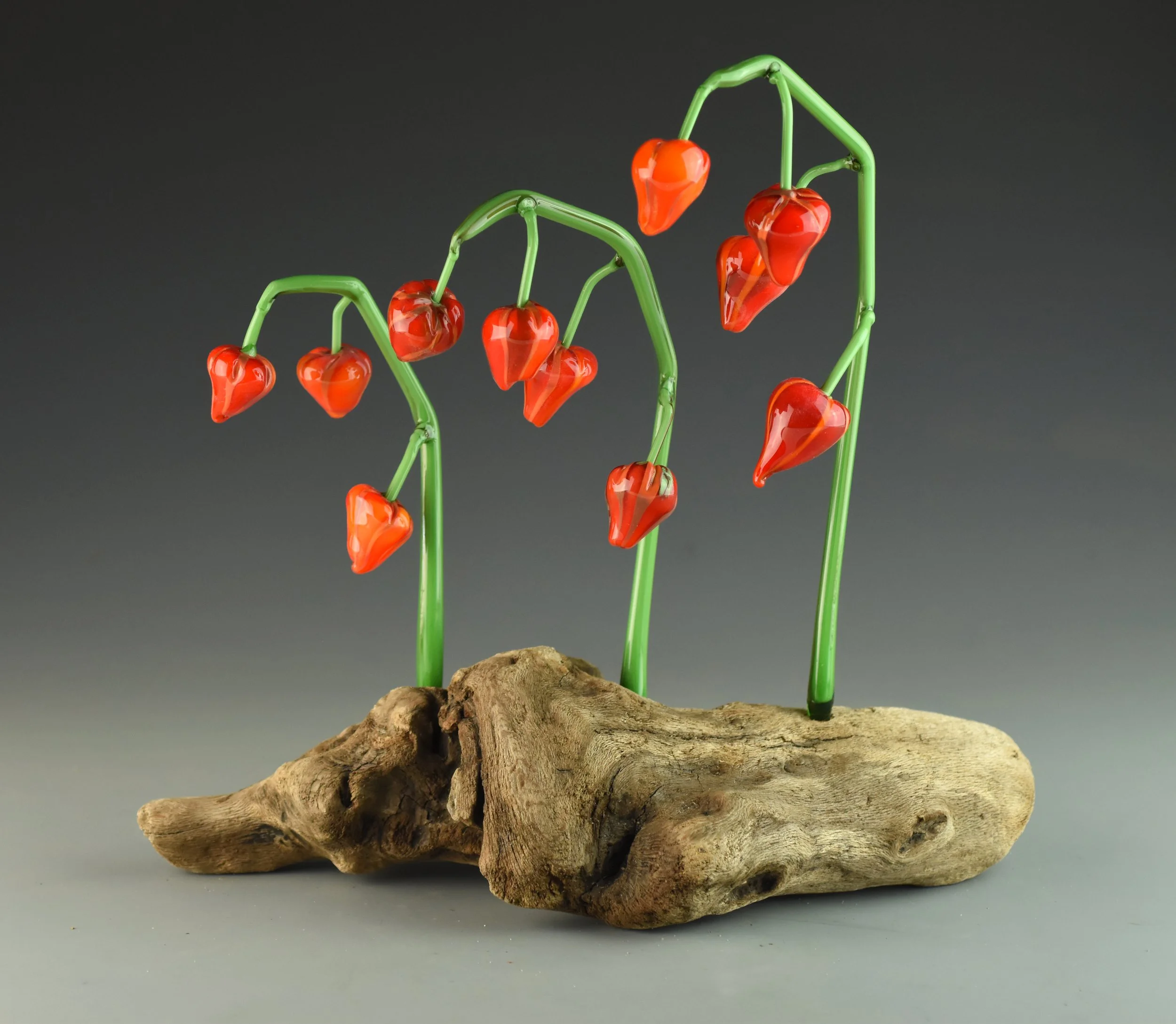 Glass sculptures of red peppers with green stems on a piece of driftwood displayed against a gray background.