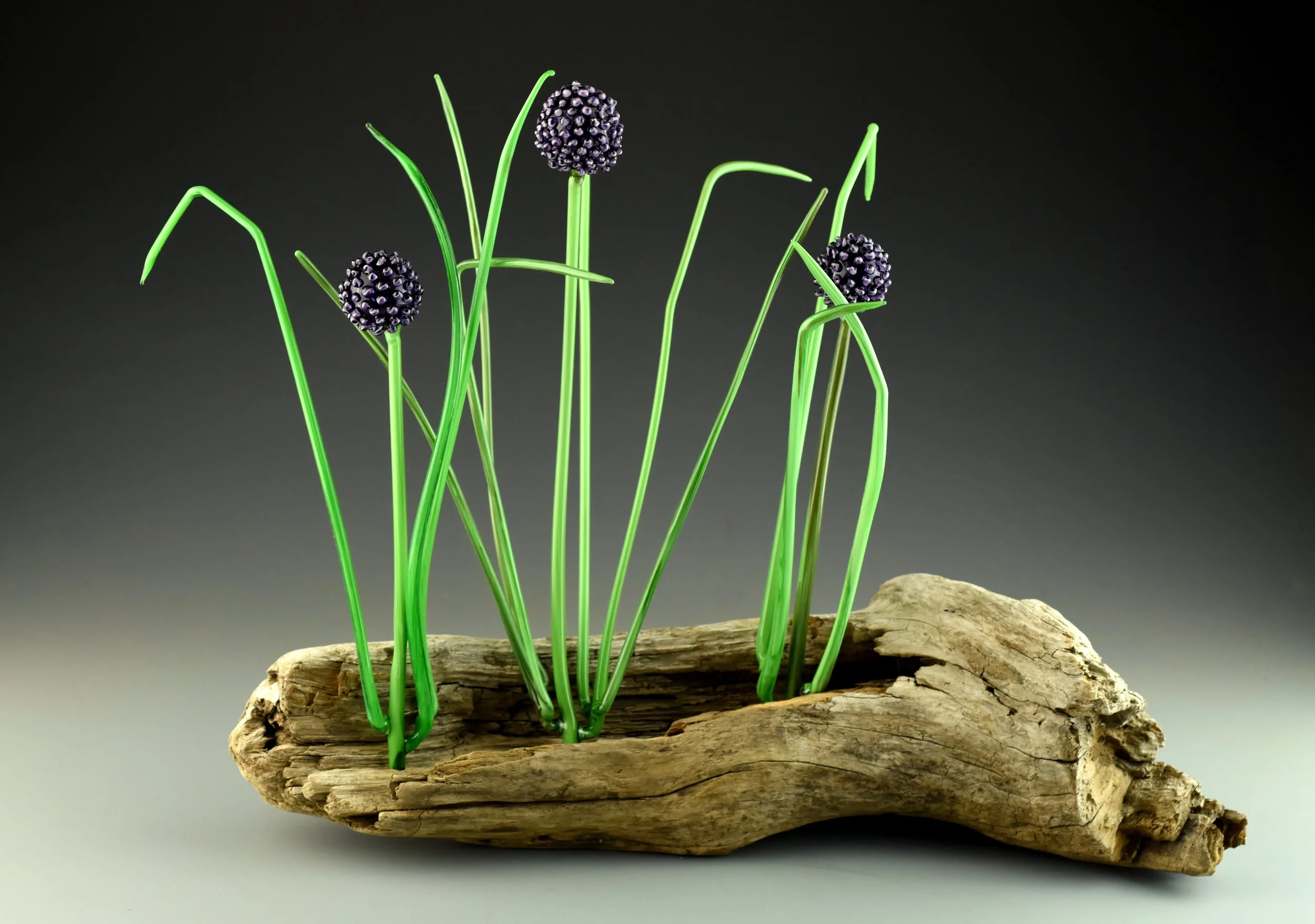 Glass sculpture of blackberries and green stems on driftwood.