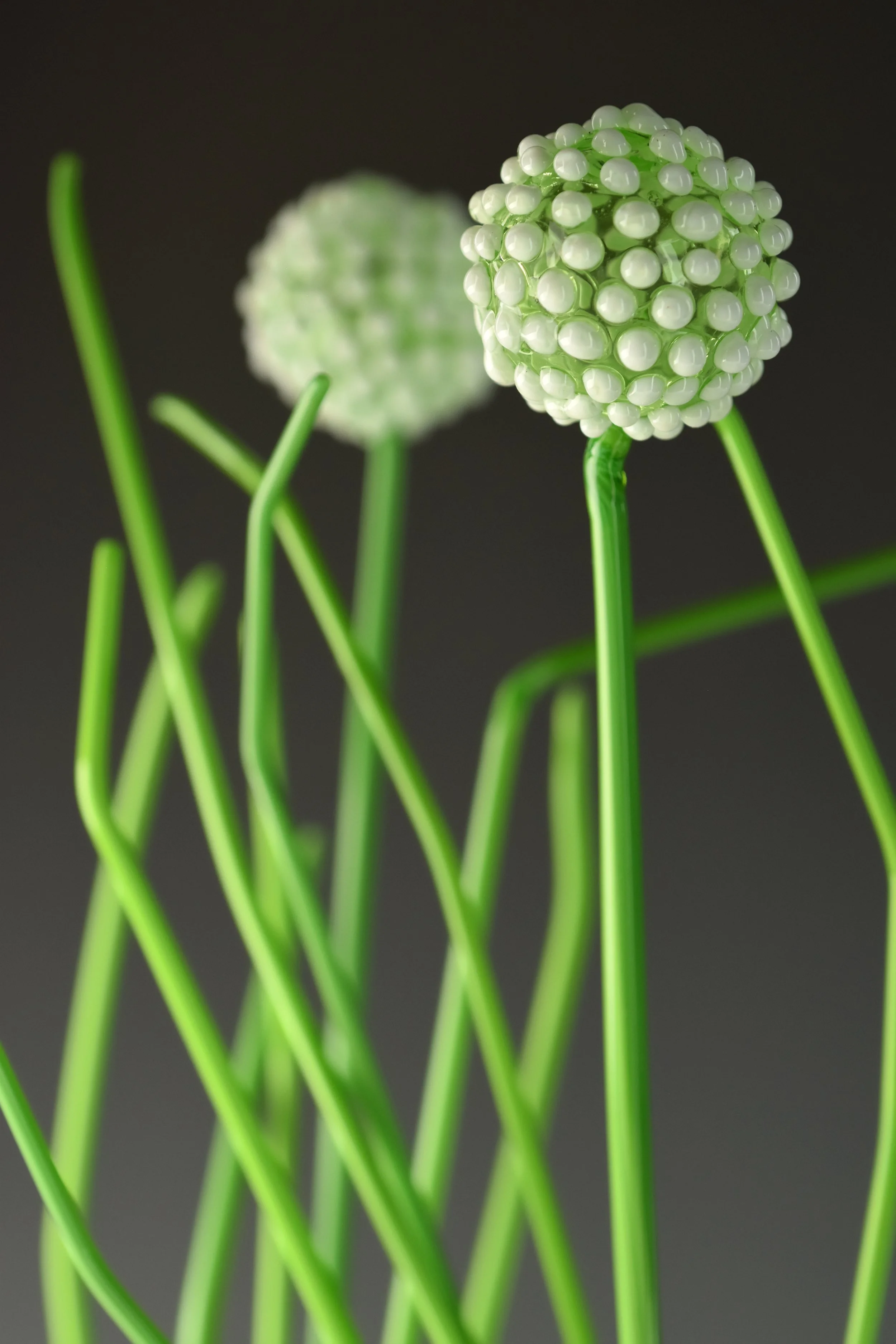 Close-up of green and white beaded floral decoration with green wire stems against a black background.