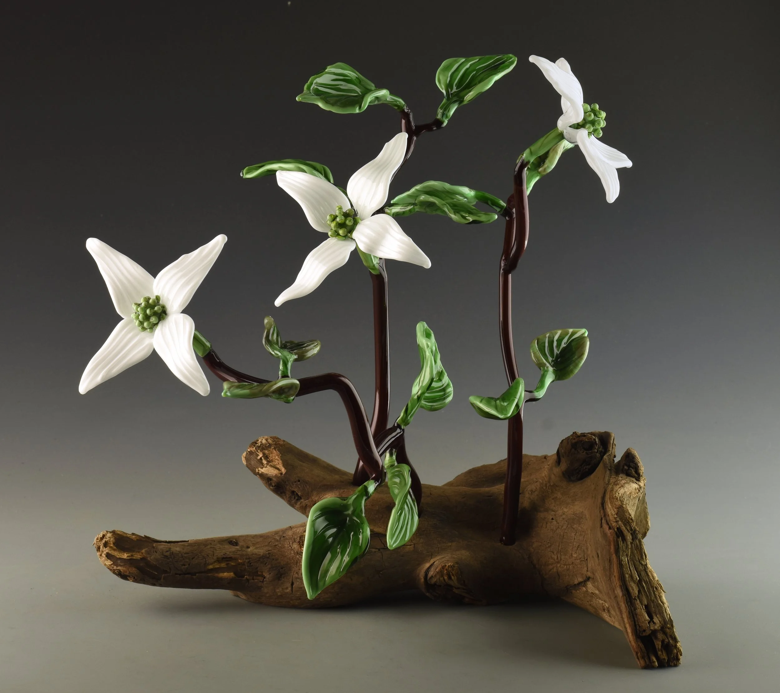 A decorative glass sculpture of white flowers with green leaves and braided brown stems, mounted on a piece of natural wood.