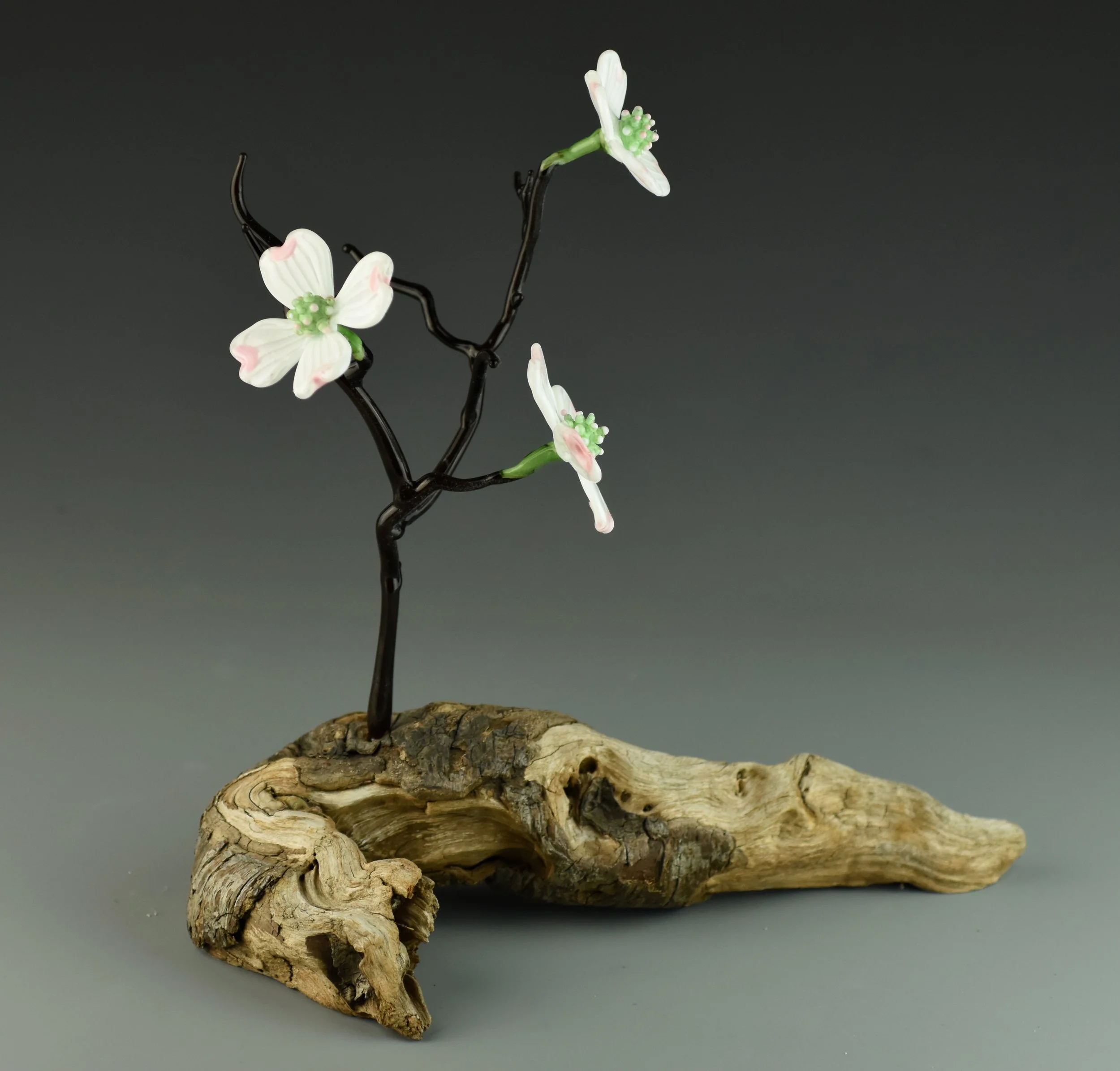 A small artificial white flower with pink accents and green center, attached to a black wire branch, resting on a piece of textured driftwood with a gray background.