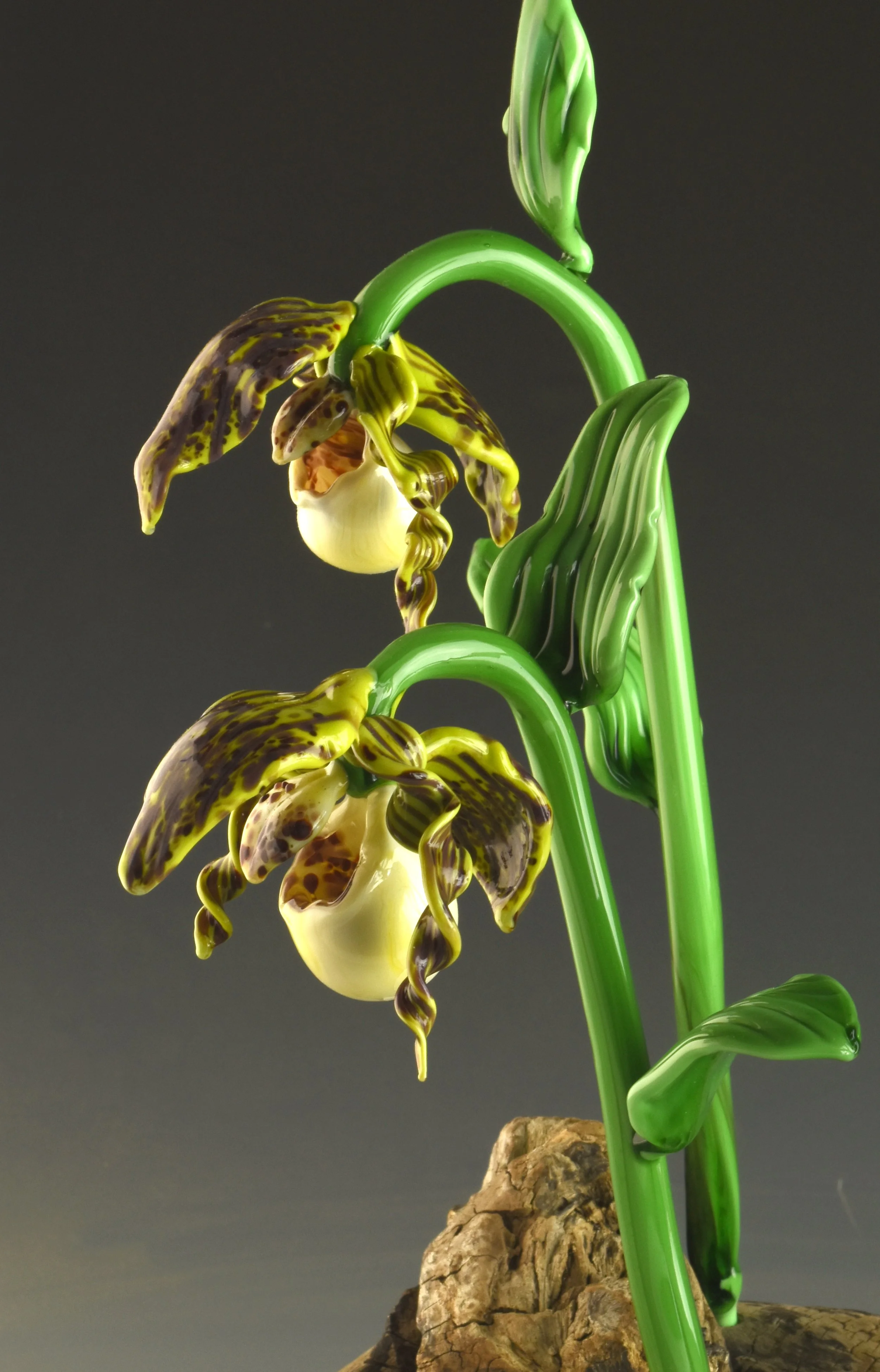 A glass sculpture of a yellow and brown orchid flower with green stems and leaves, mounted on a piece of bark.