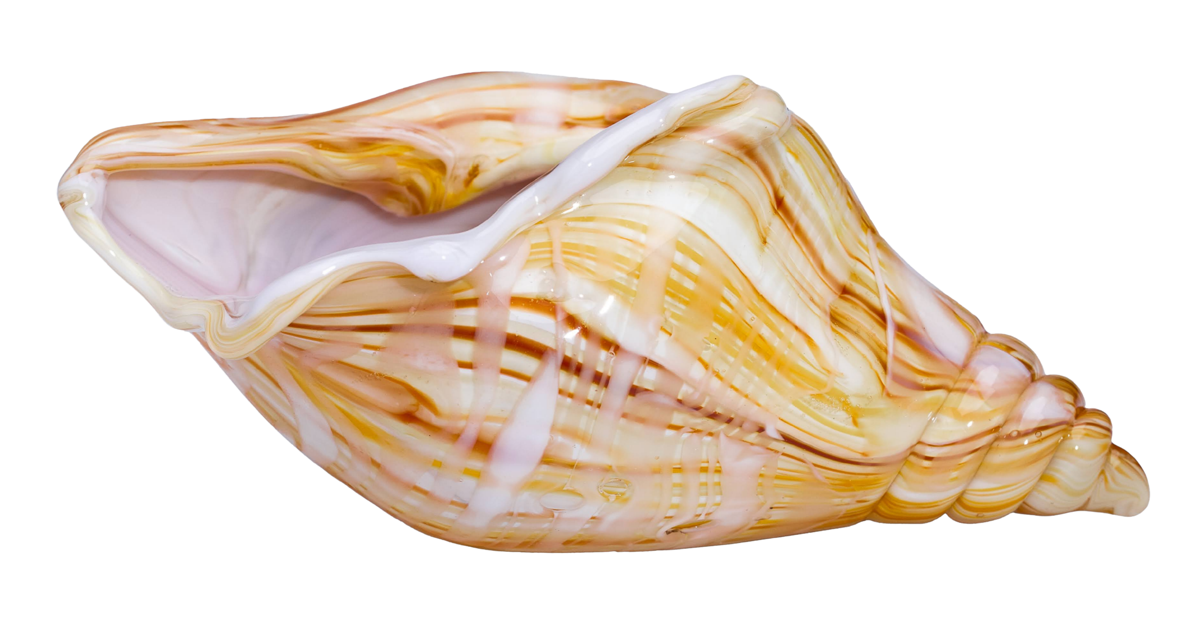 Close-up of a colorful, striped seashell with shades of cream, pink, orange, and yellow.