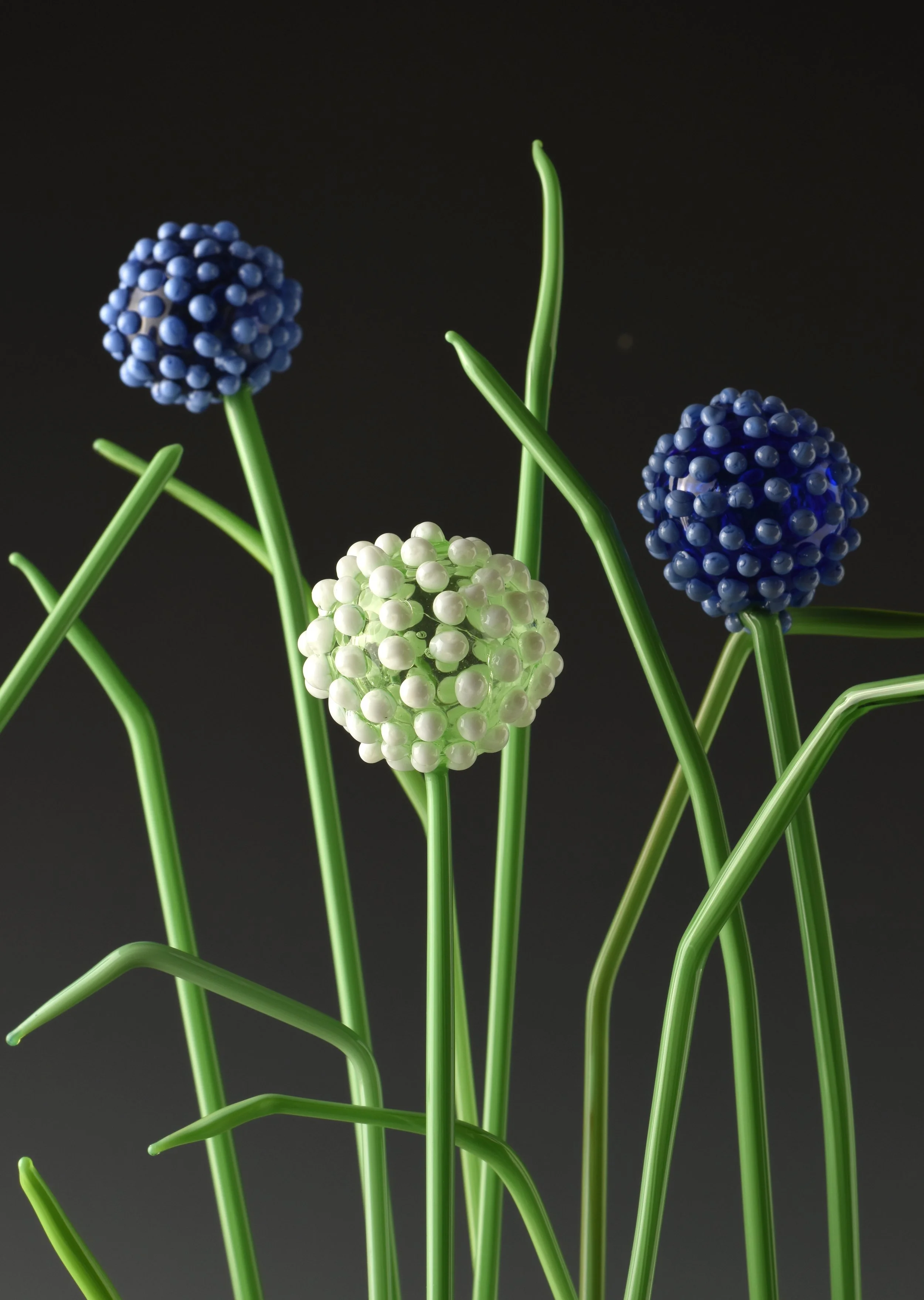 Close-up of decorative artificial flowers with round blue and white clustered blossoms and curved green stems on a black background.