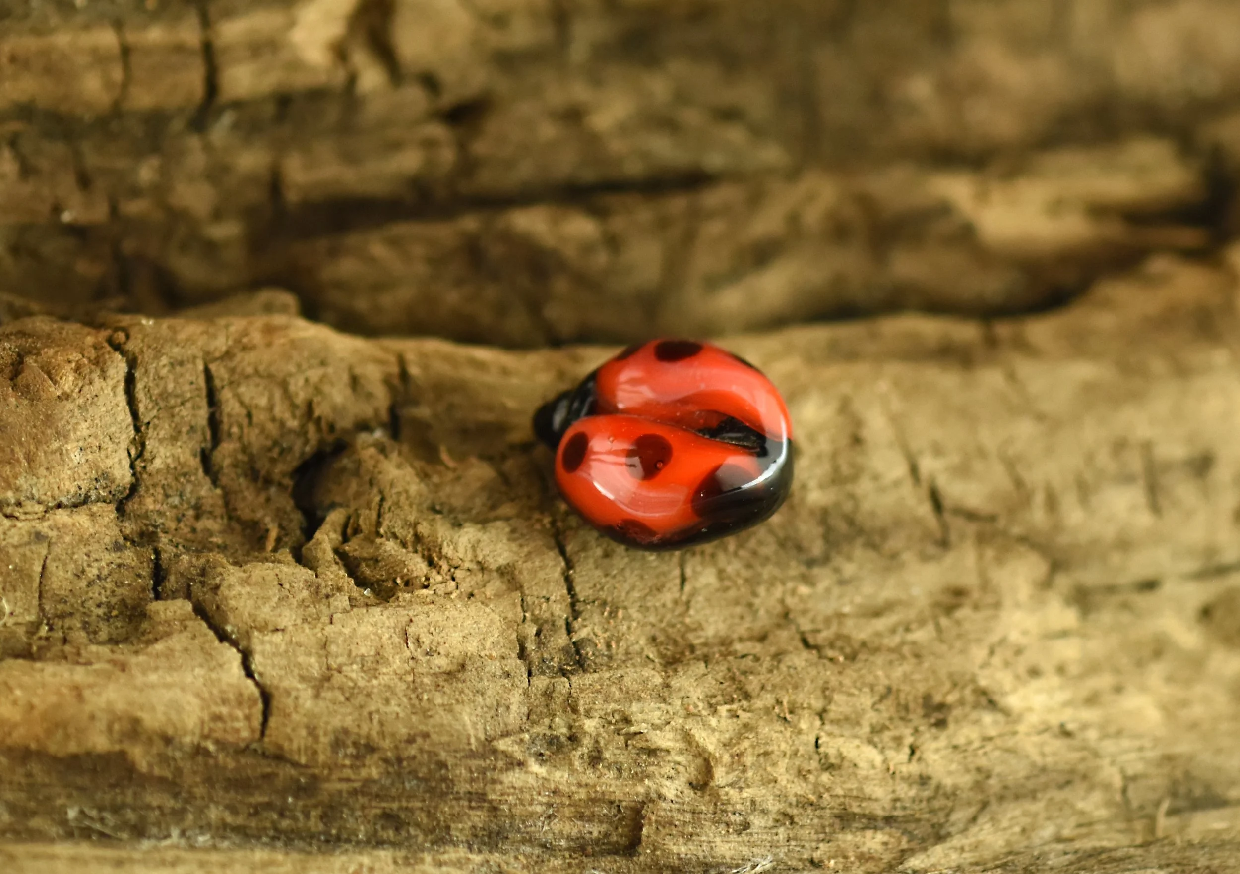 Close-up of a red and black ladybug on a textured brown wooden surface.