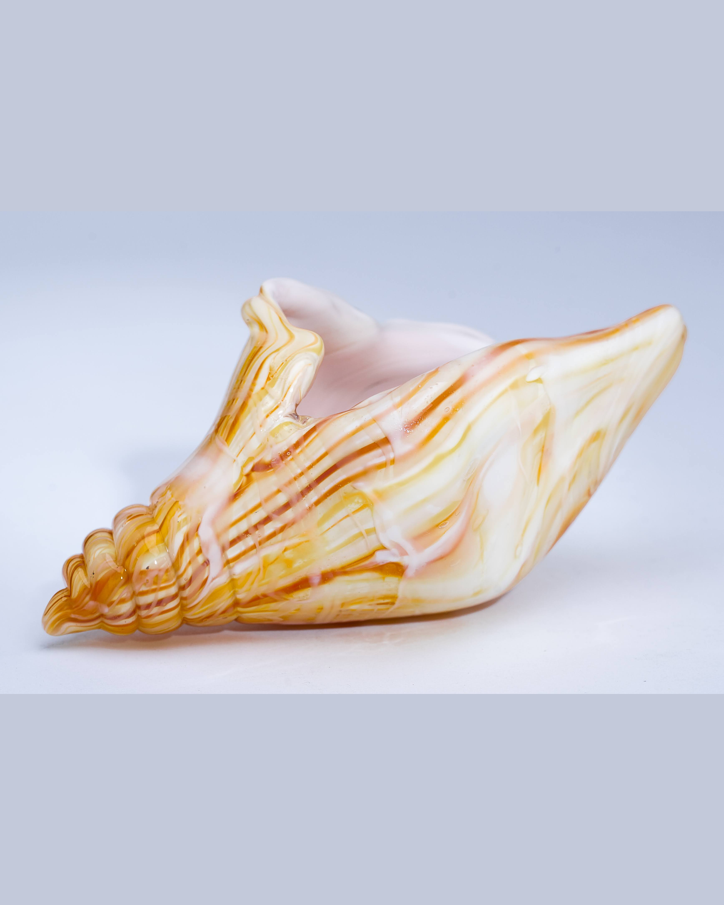 Striped Mega Shell