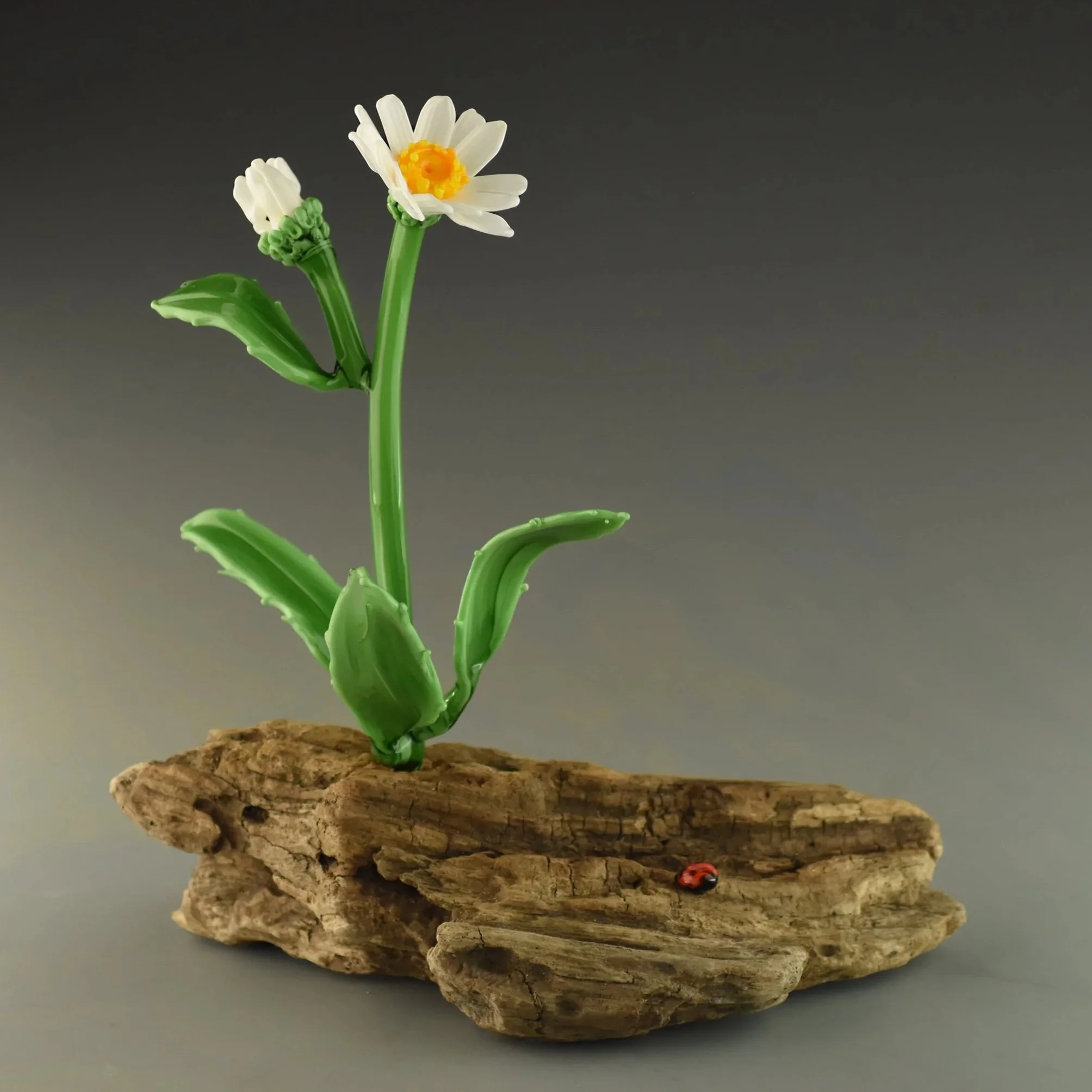 Miniature diorama of a flowering plant with white daisy-like flowers and green leaves on a piece of textured driftwood with a red ladybug near the base against a gray background.