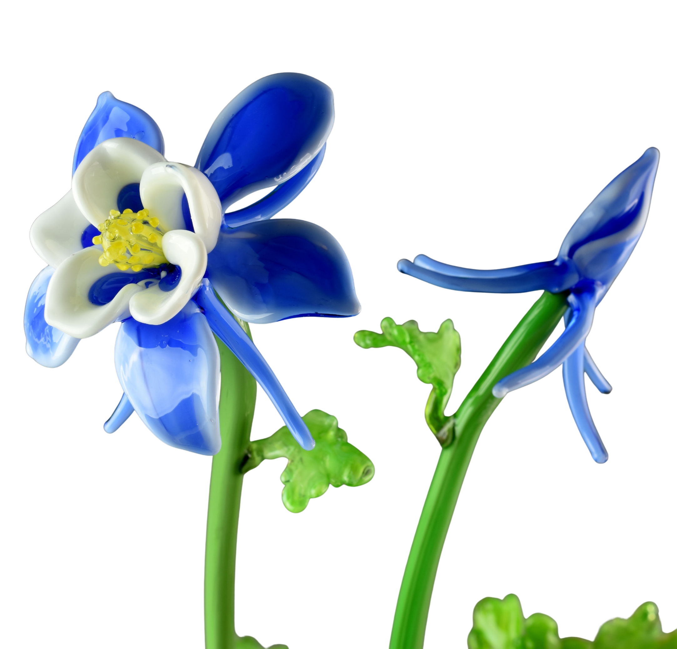 A colorful glass sculpture of a blue columbine flower with blue and white petals and yellow center, with green stems and leaves.