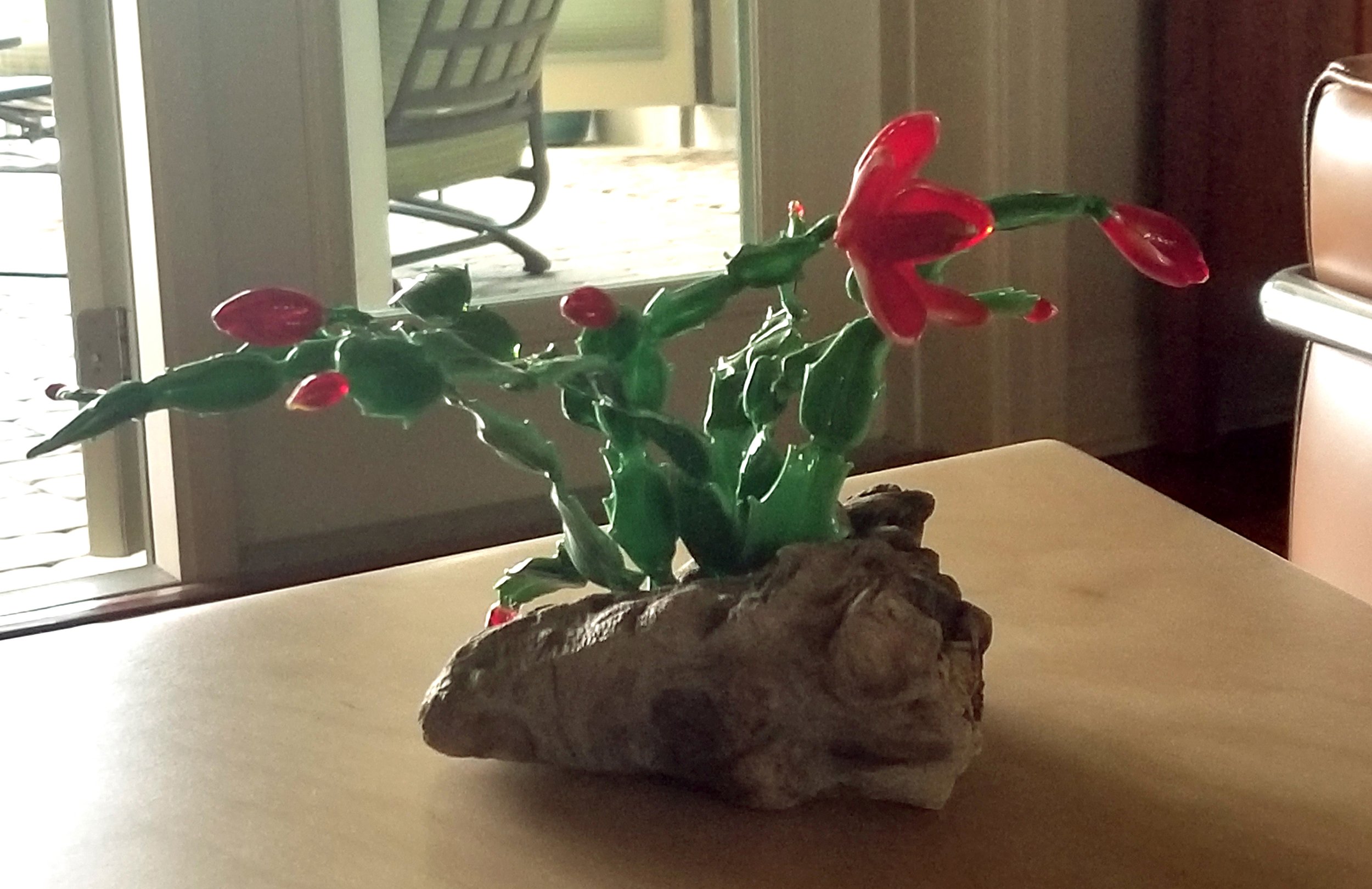 Decorative plant with red and green leaves on a rock, placed on a table near a window with outdoor patio furniture visible through the glass.
