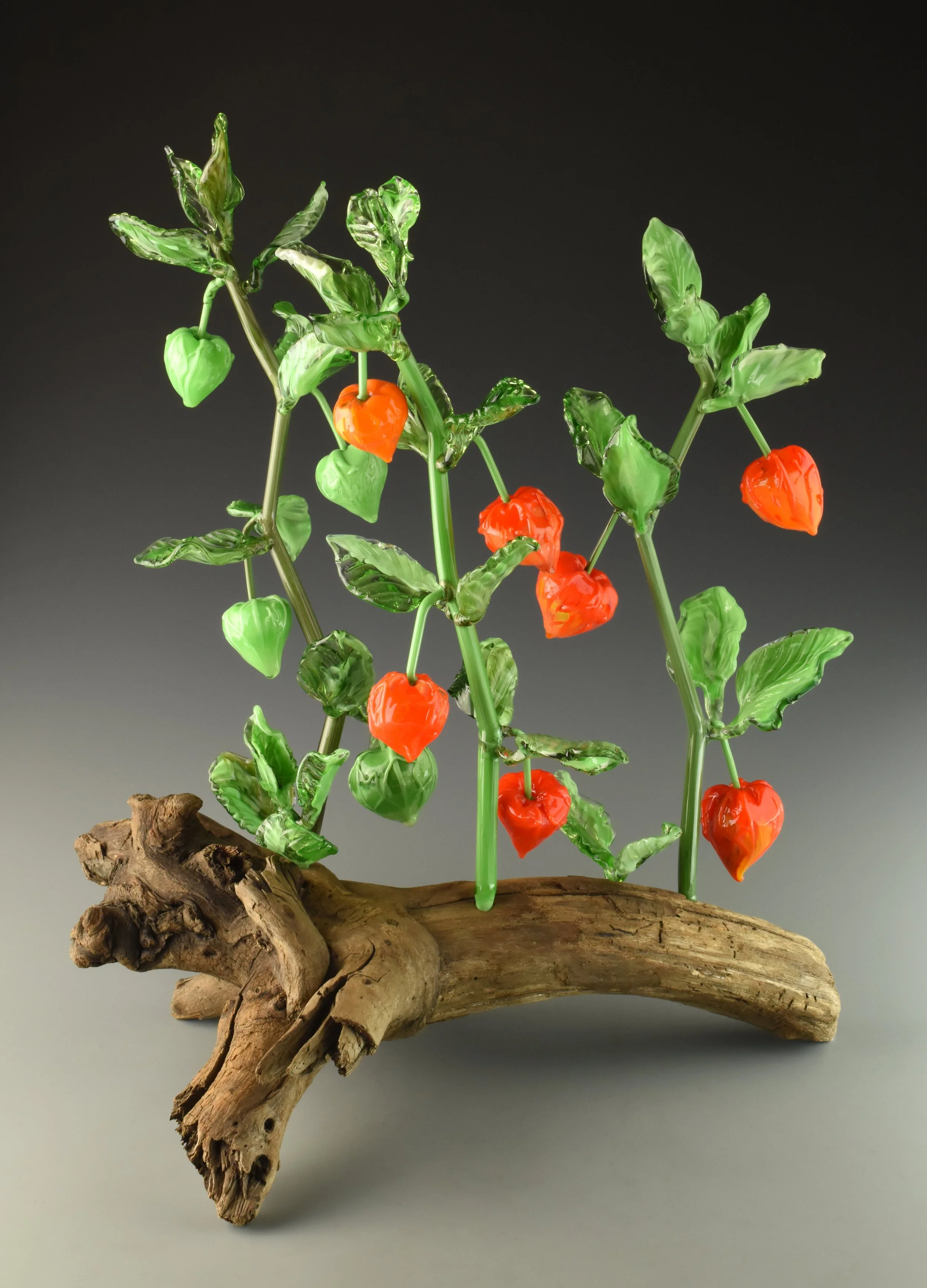 Glass art plant with green leaves and orange flowers on driftwood base against a gray background.