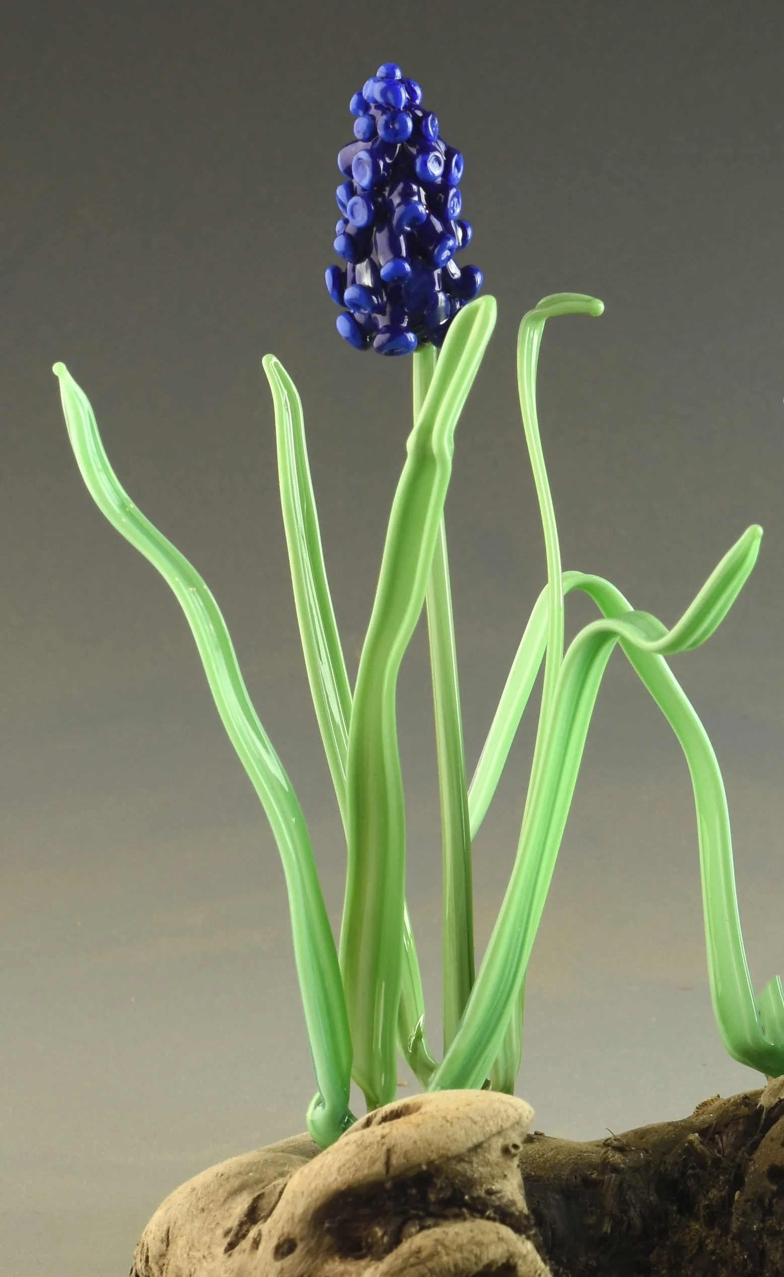 A glass sculpture of a purple hyacinth flower with green glass leaves, attached to a piece of driftwood.