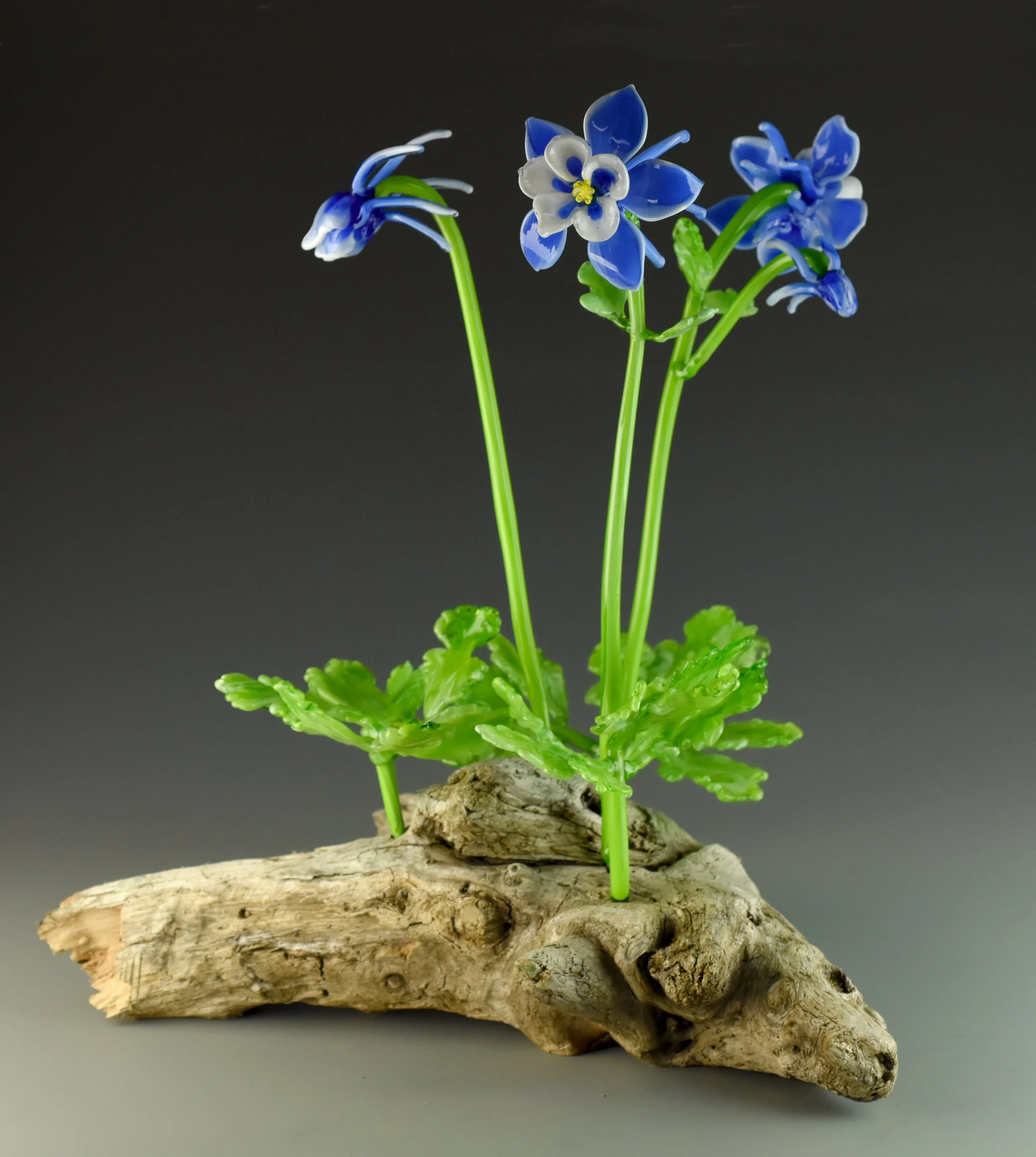 Glass flowers in blue, white, and yellow on green stems arranged on a piece of weathered driftwood, against a dark background.