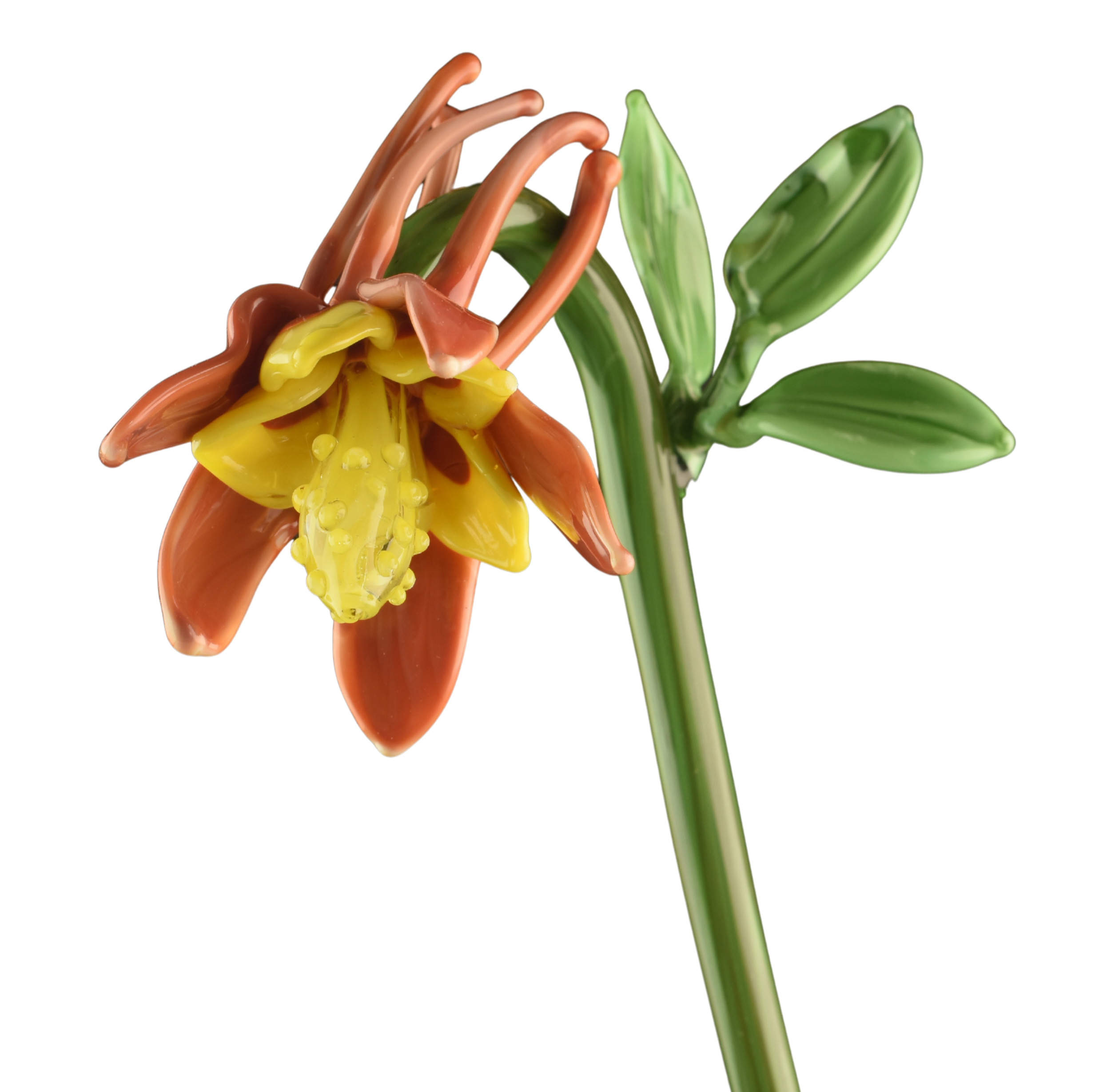 Close-up view of a yellow lily flower with orange-tipped petals and green leaves.