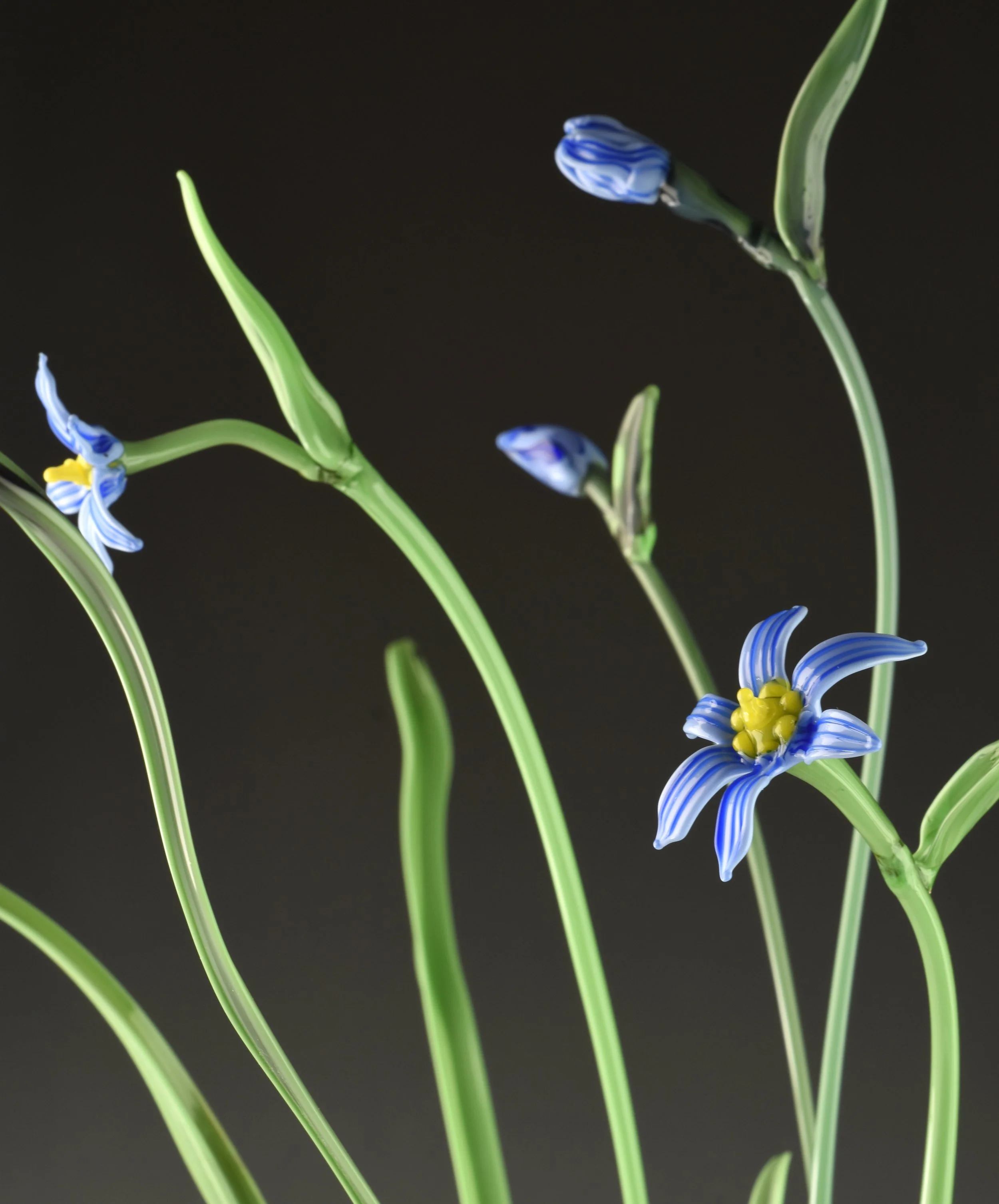 Close-up of blue and white striped glass flowers with green stems on a black background.